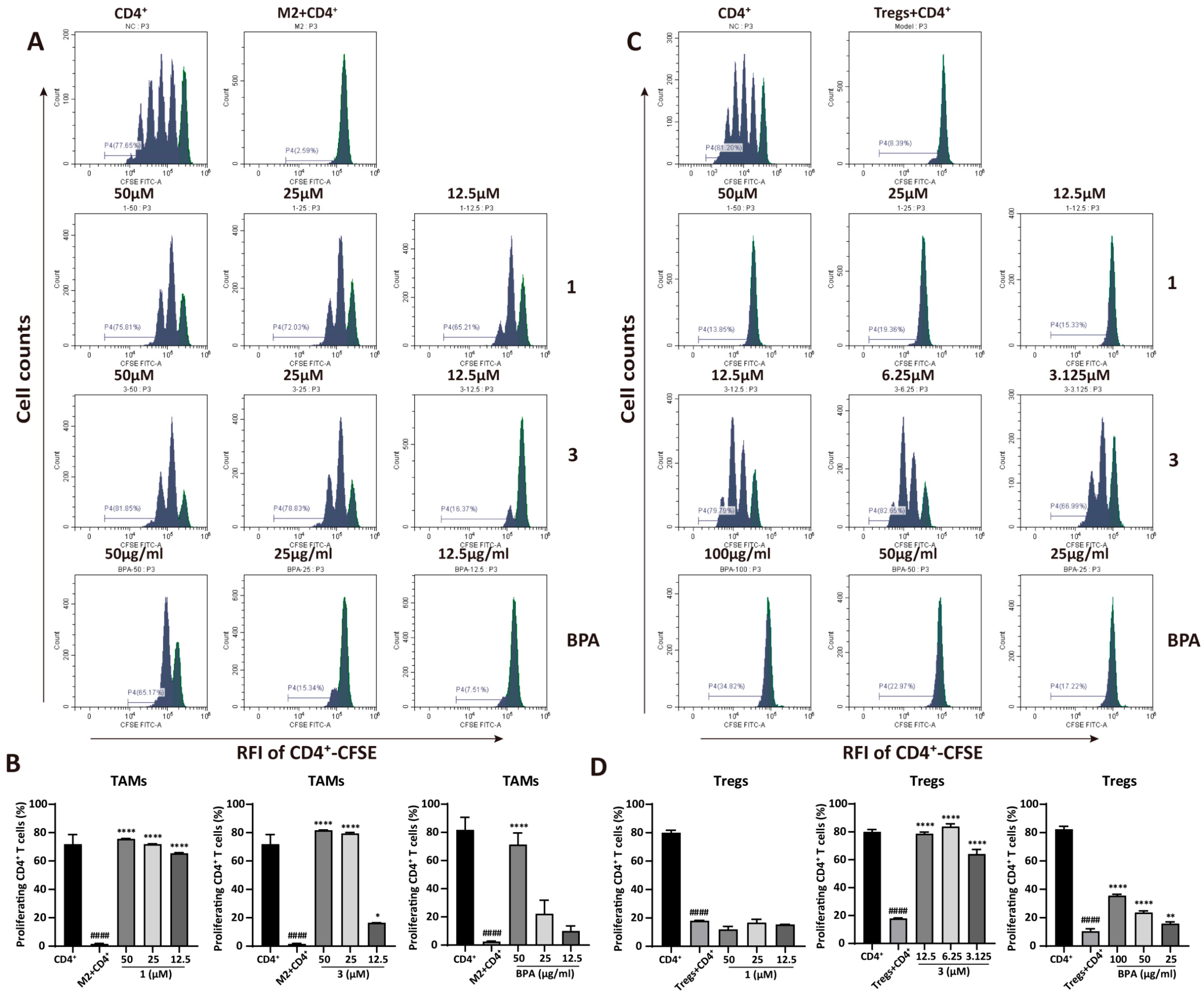Cells 15 00126 g004 Cells 15 00126 g004