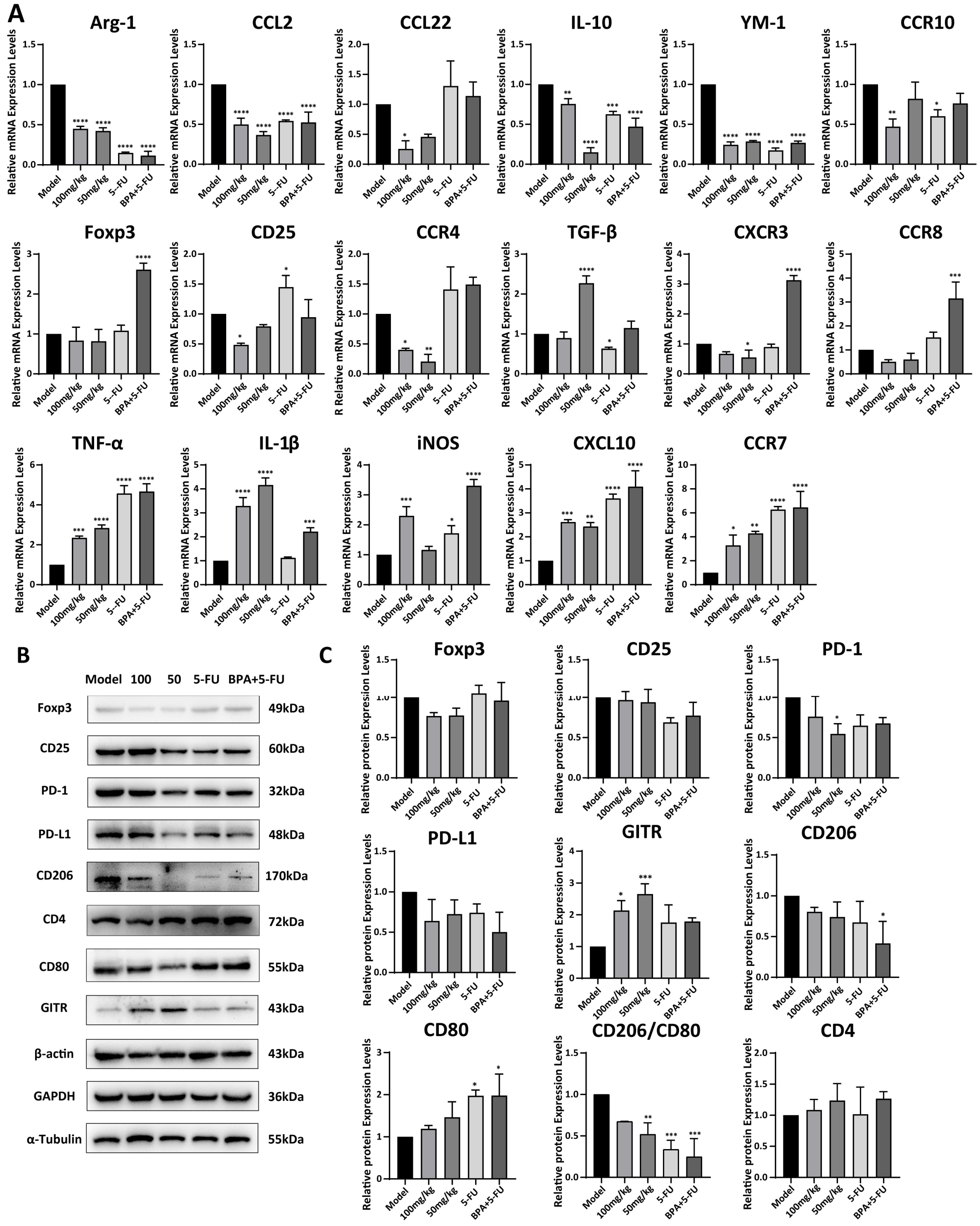 Cells 15 00126 g006 Cells 15 00126 g006