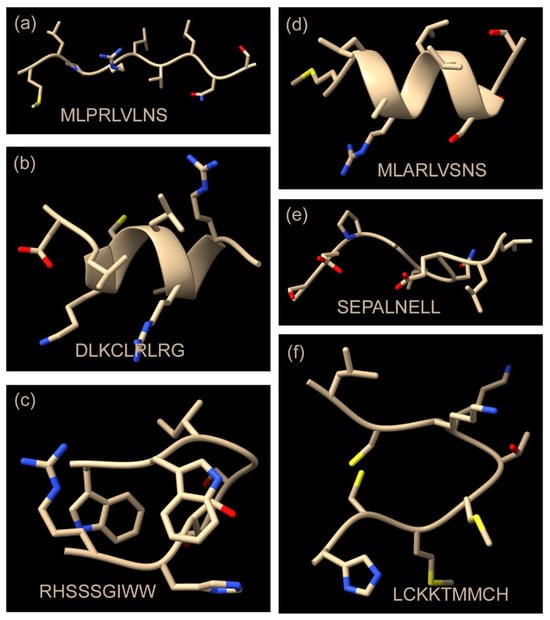 Predicted structures of selected candidate cytoplasmic retention sequences identified here. The structures can be described as “extended” in the case of MLPRLVLNS and SEPALNELL (a,e), “short α-alpha helix” in the case of MLARLVSNS and DLKCLRLRG (b,d), and “extended U shape” for RHSSSGIWW and LCKKTMMCH (c,f). Note that the predicted structures are diverse, as expected from their diverse amino acid sequences and their expected function in cytoplasmic retention.