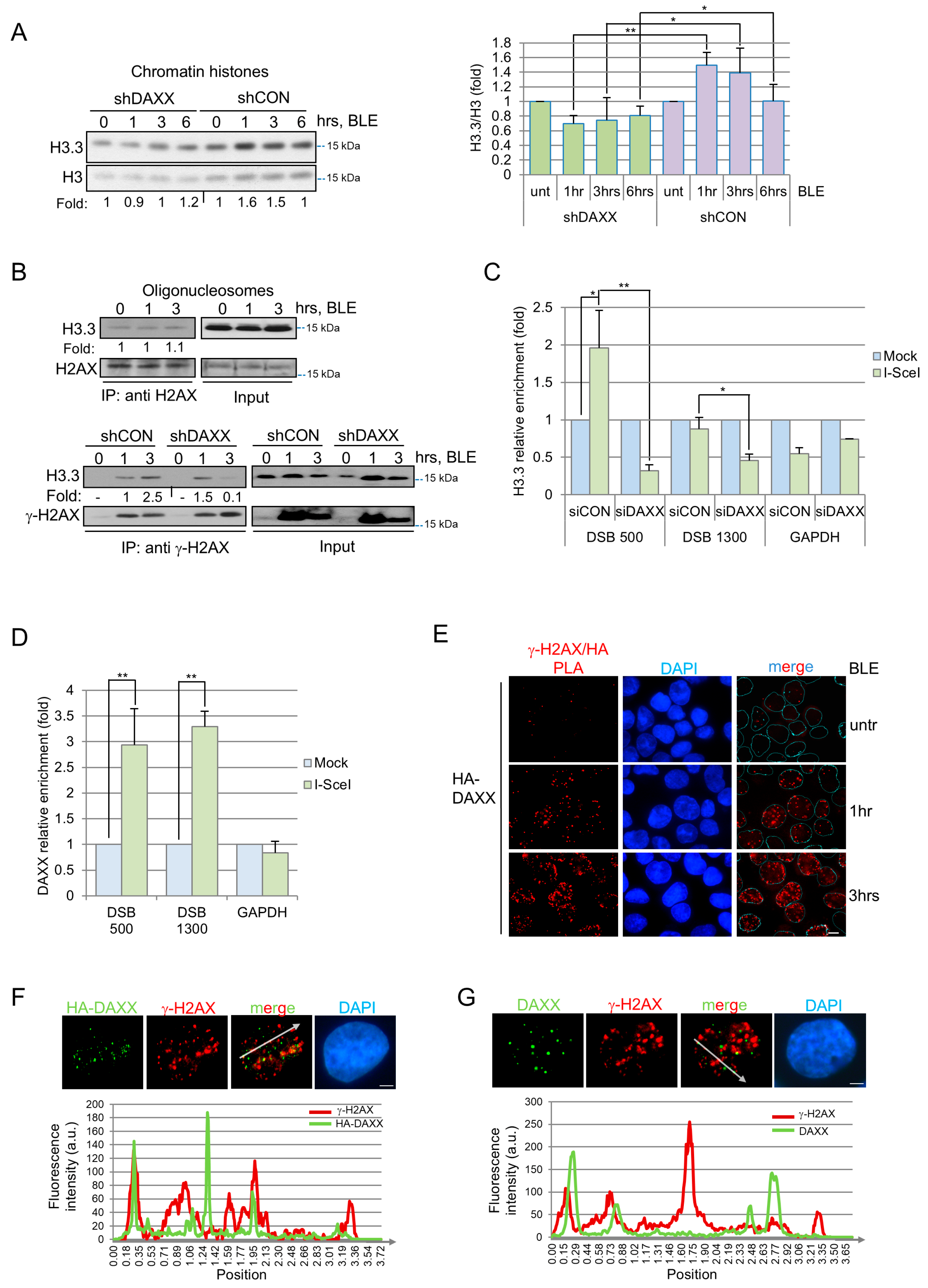 Cells 15 00162 g001 Cells 15 00162 g001