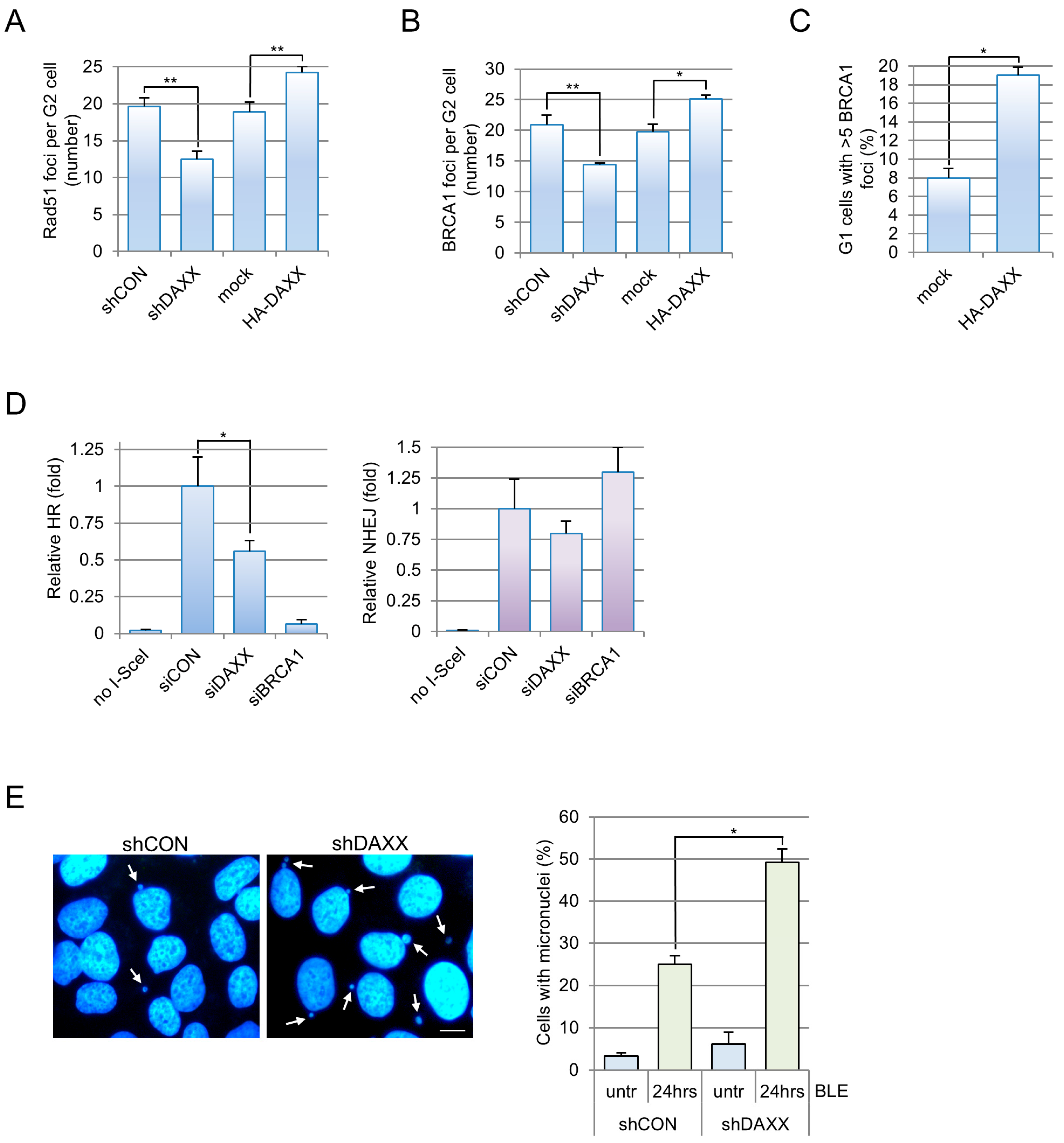 Cells 15 00162 g003 Cells 15 00162 g003