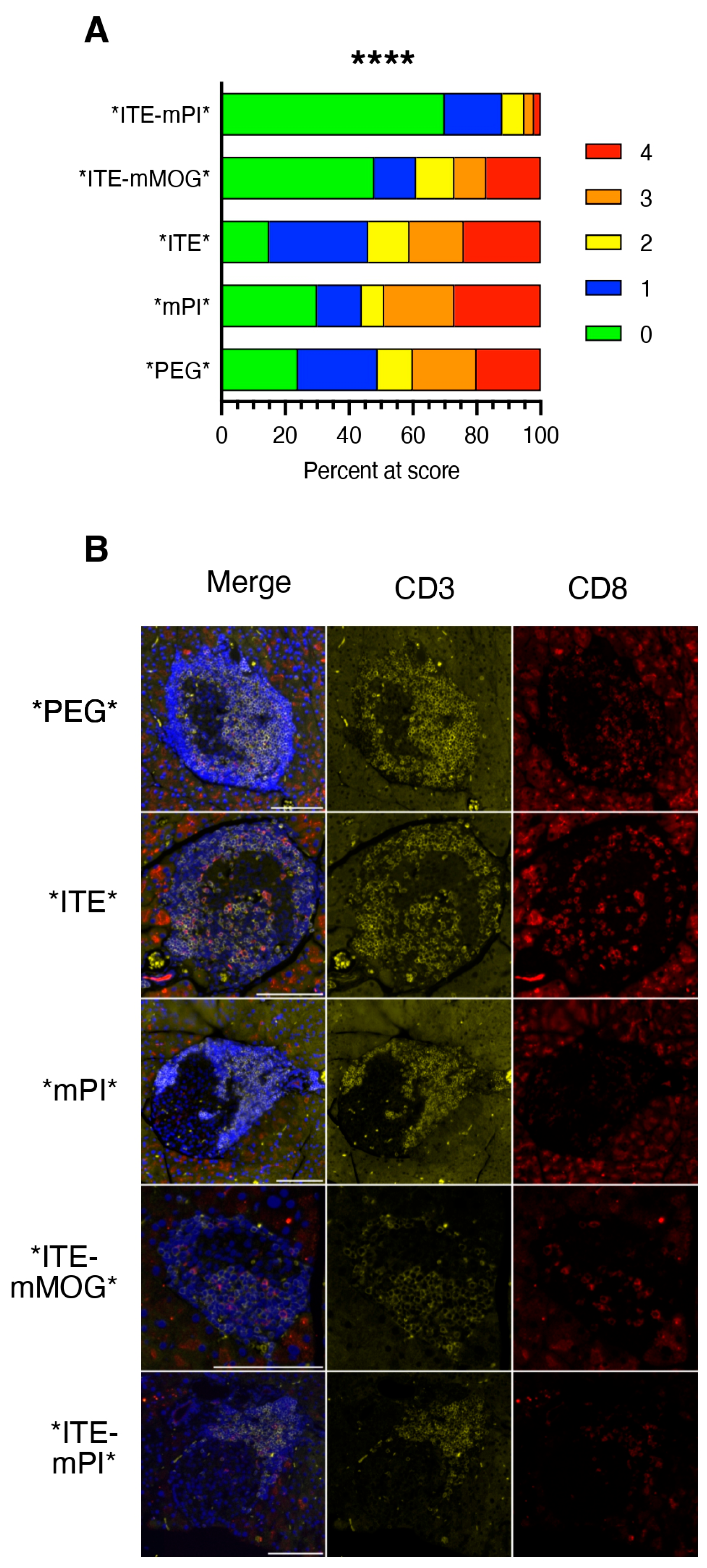 Cells 15 00174 g004 Cells 15 00174 g004