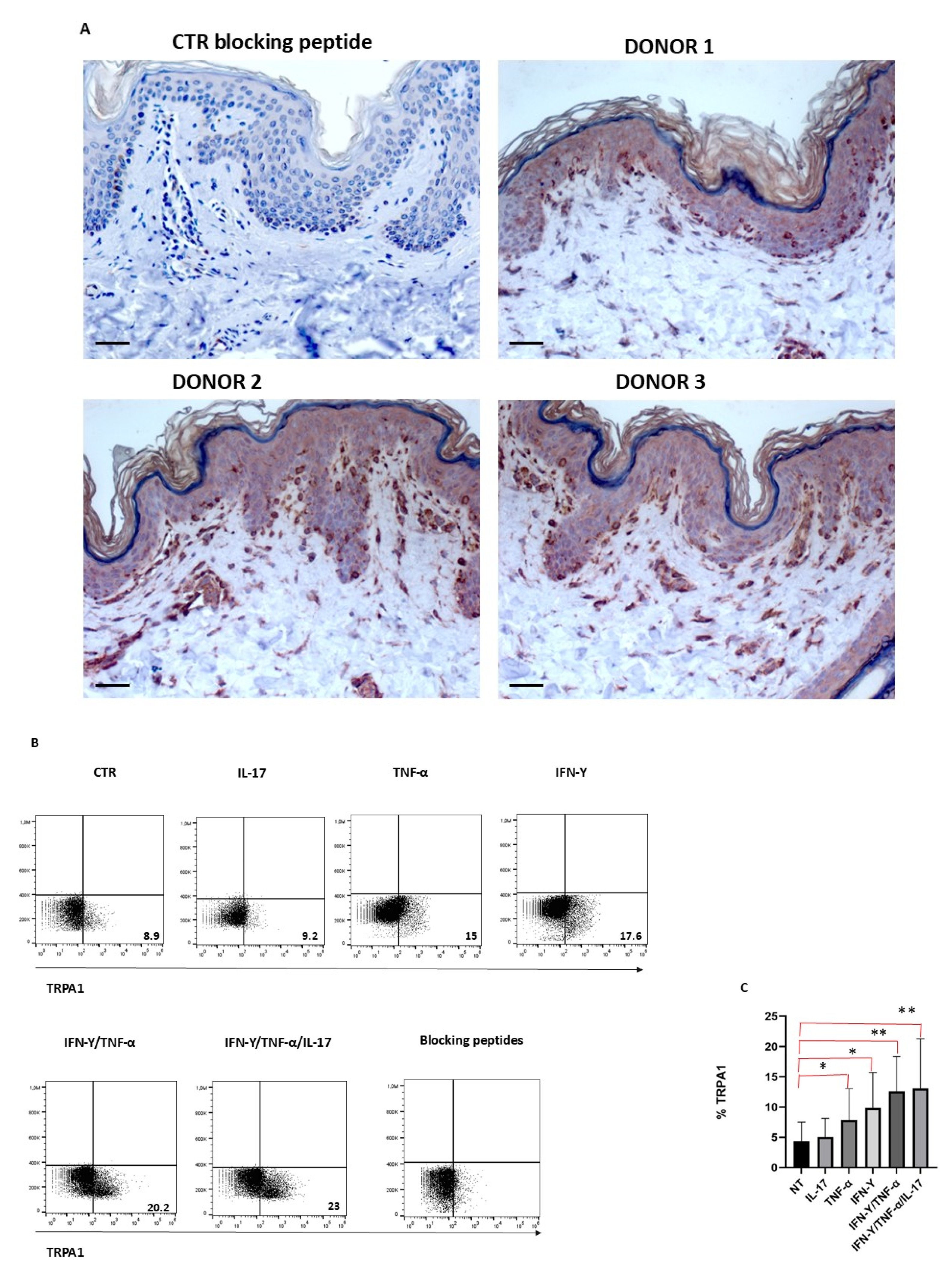 Cells 15 00192 g001 Cells 15 00192 g001
