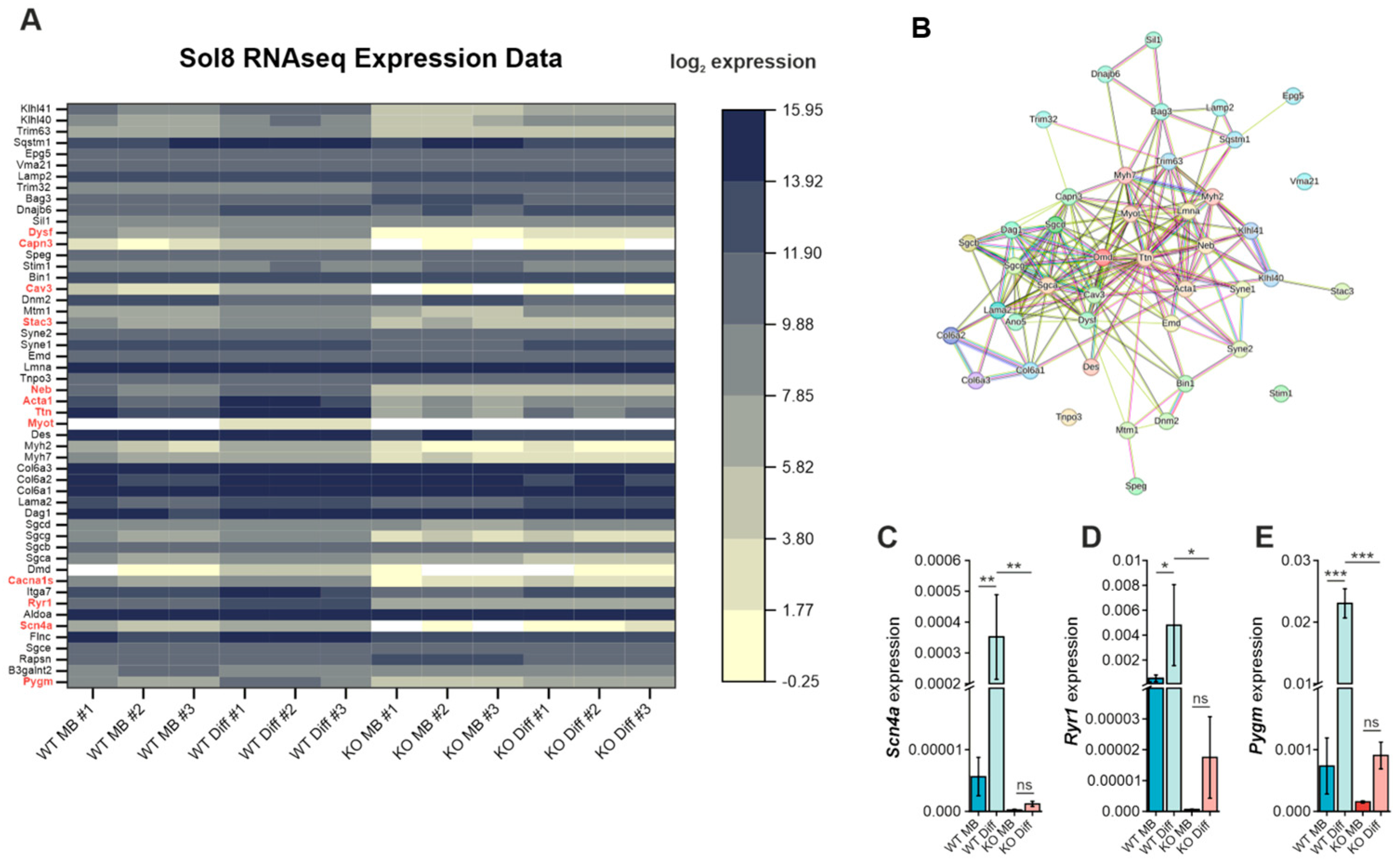 Cells 15 00199 g004 Cells 15 00199 g004