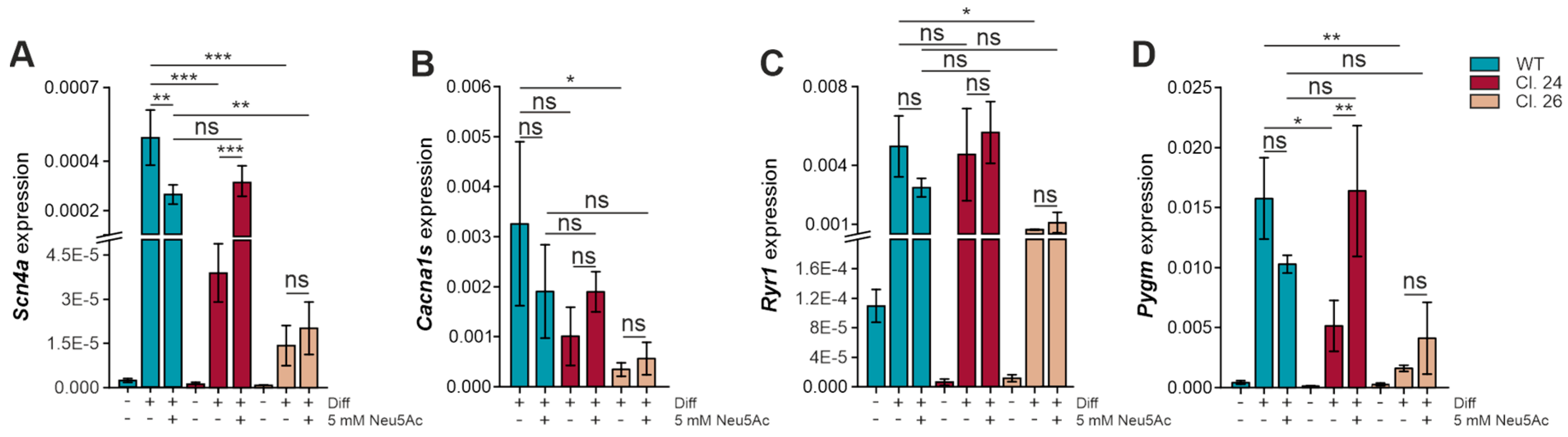 Cells 15 00199 g005 Cells 15 00199 g005