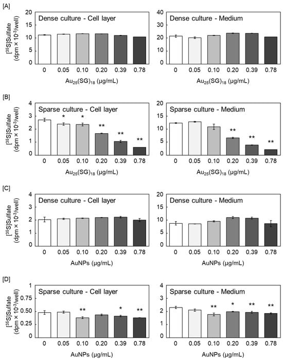 [35S]Sulfate incorporation into glycosaminoglycans (GAGs) accumulated in the cell layer (left panels) and conditioned medium (right panels). Bovine aortic endothelial cells in (A,C) dense and (B,D) sparse cultures treated with (A,B) Au25(SG)18 and (A,D) gold nanoparticles (AuNPs) at 0.05, 0.1, 0.2, 0.39, and 0.78 µg/mL for 24 h. Values are expressed as the mean ± standard error (S.E.) of four samples. * p < 0.05 and ** p < 0.01 vs. the corresponding control.