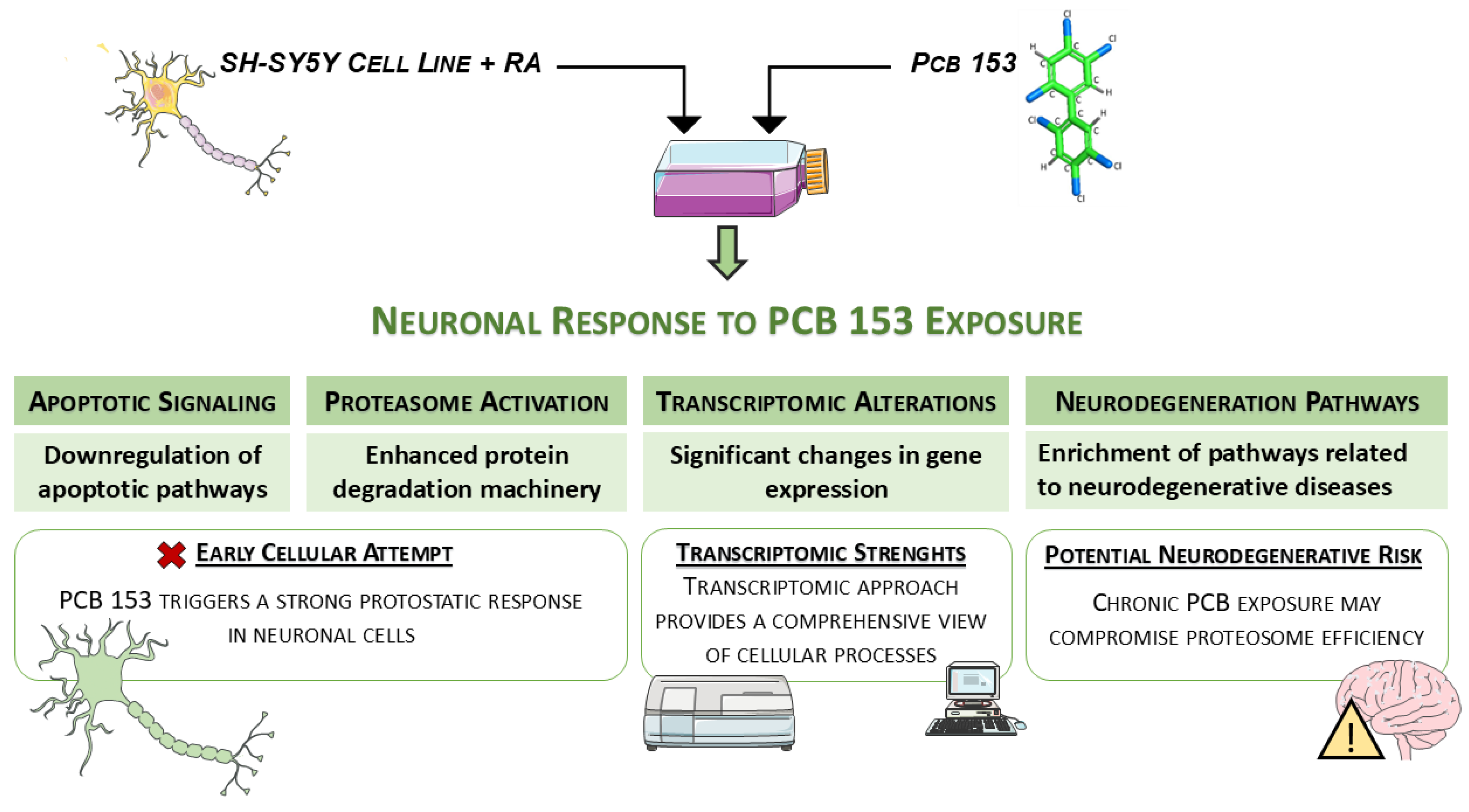 Cells 15 00217 g010