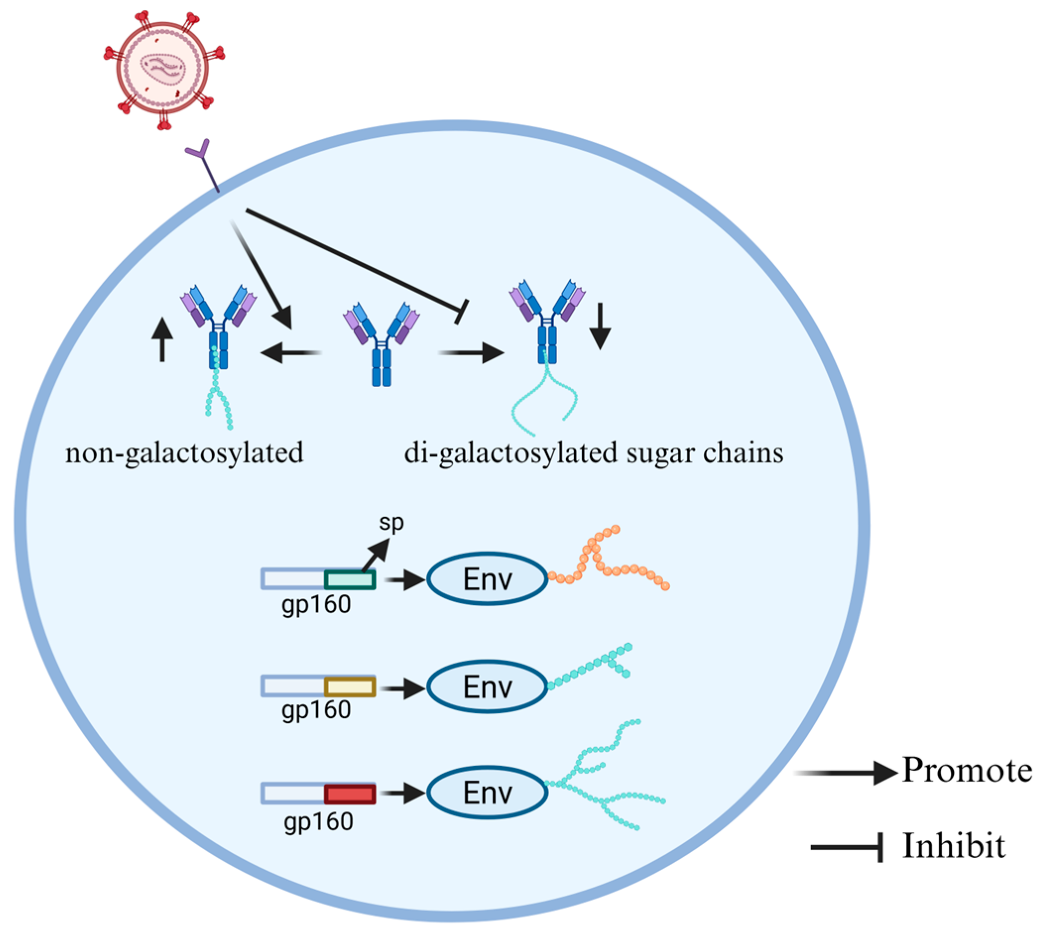 Cells 15 00243 g004 Cells 15 00243 g004