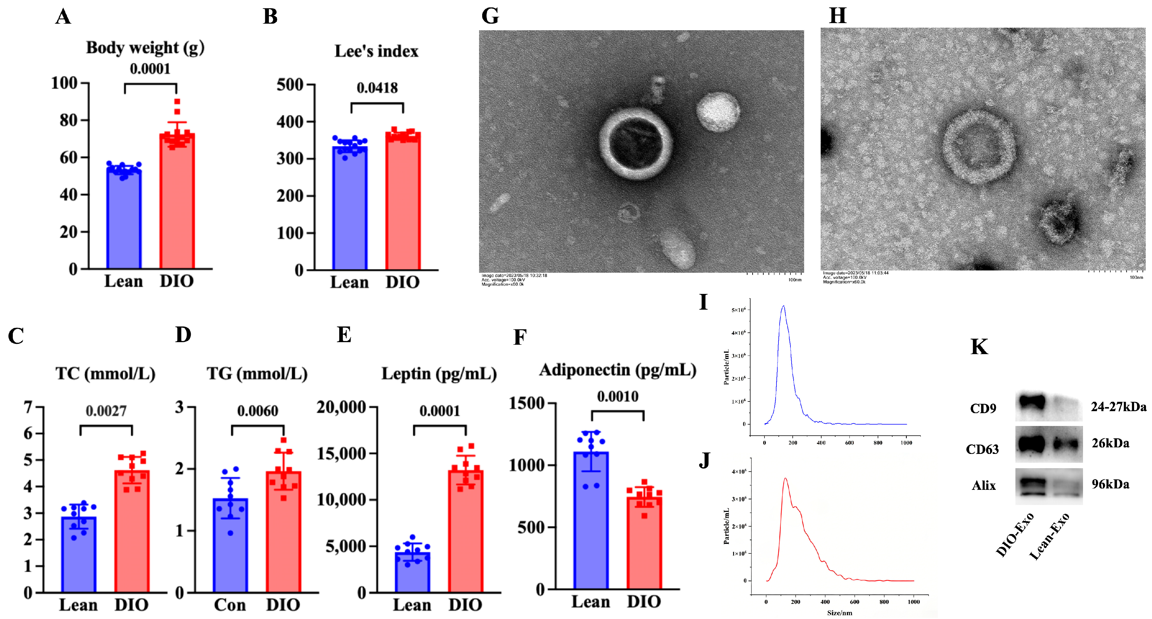 Cells 15 00264 g001 Cells 15 00264 g001