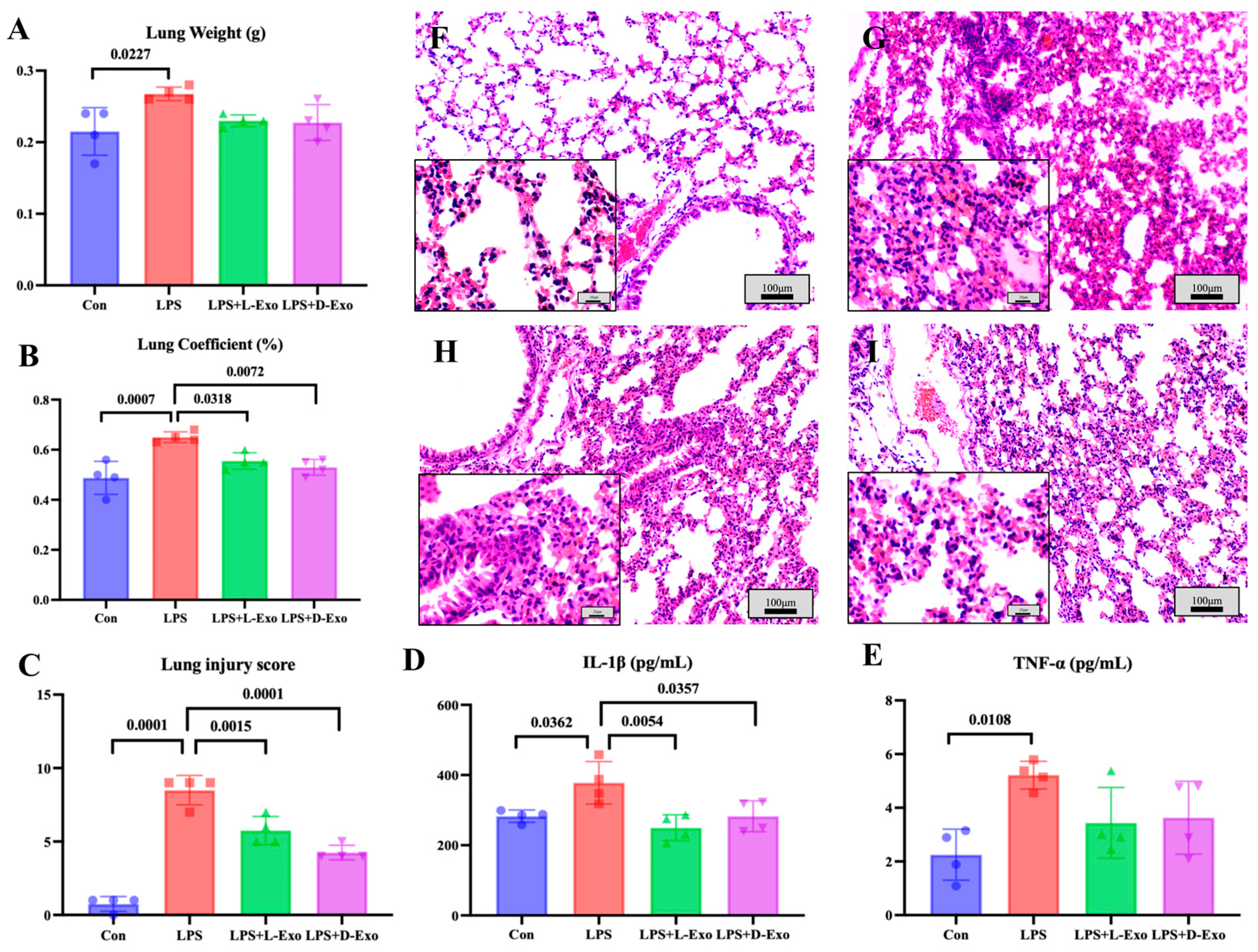 Cells 15 00264 g002 Cells 15 00264 g002