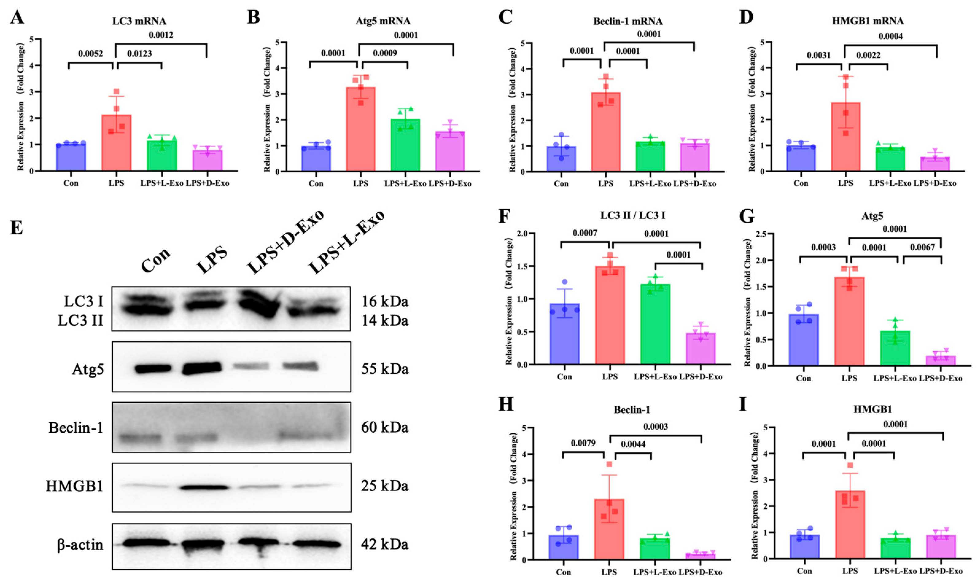 Cells 15 00264 g003 Cells 15 00264 g003