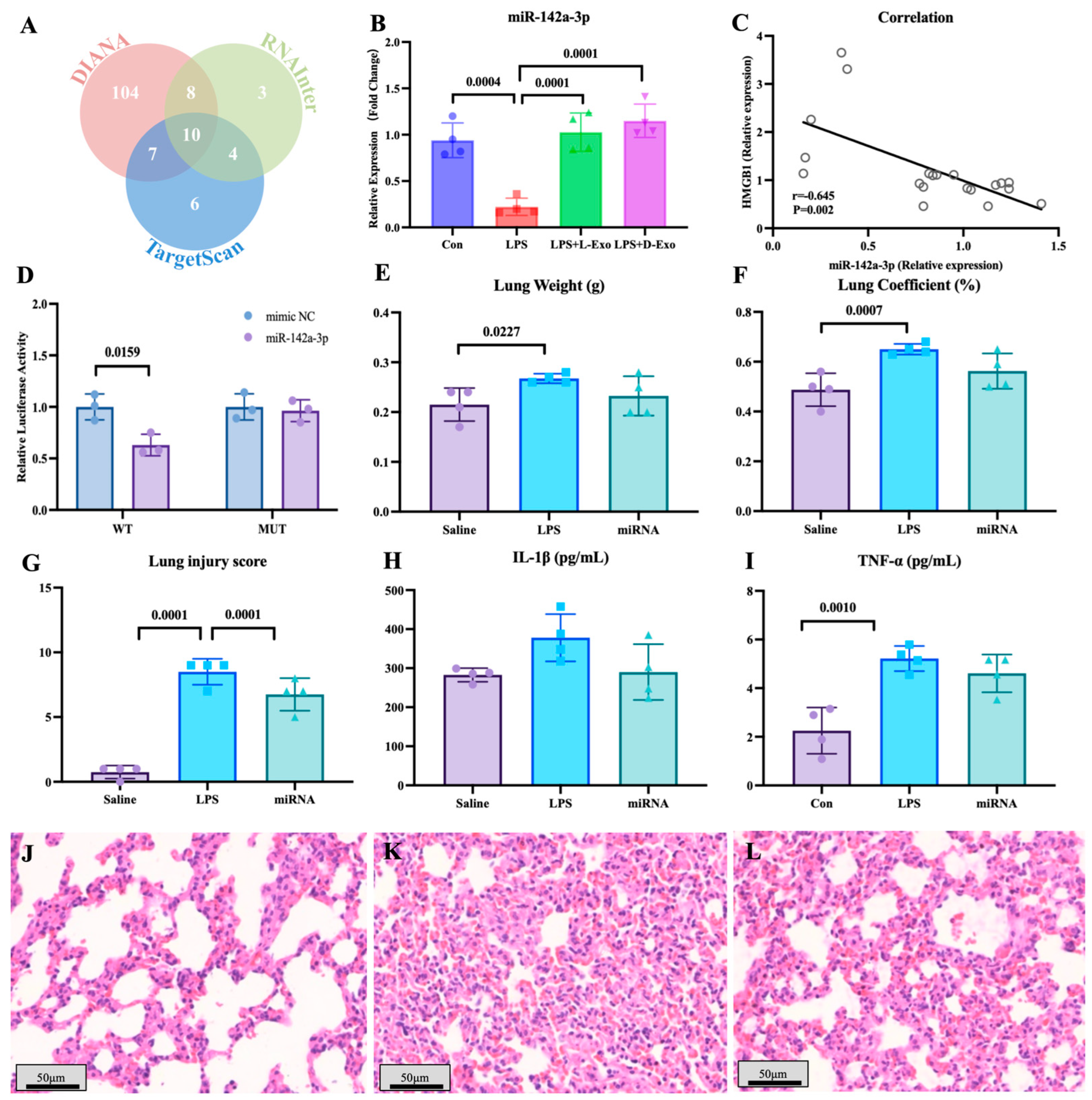 Cells 15 00264 g004 Cells 15 00264 g004