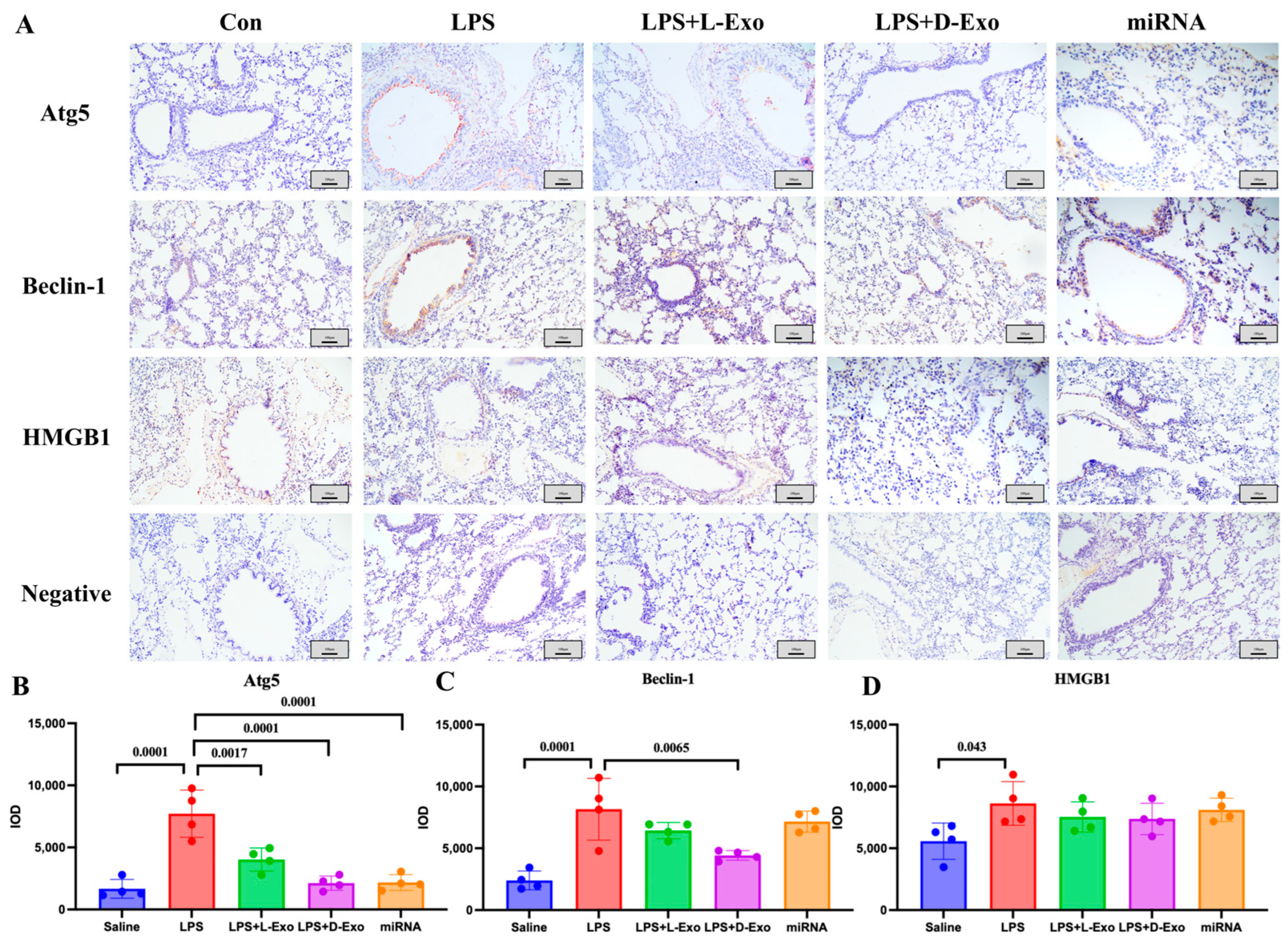 Cells 15 00264 g006 Cells 15 00264 g006