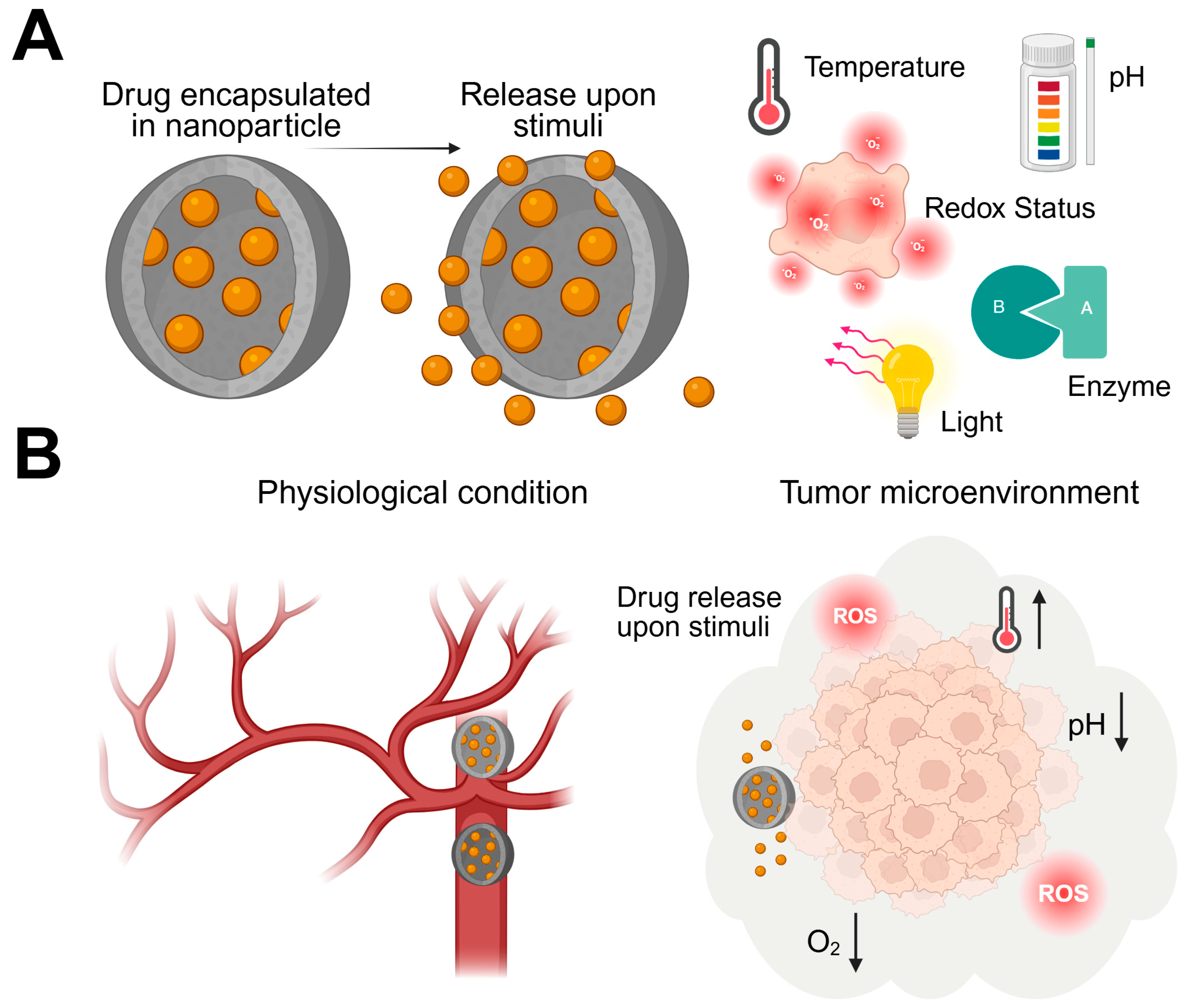 Cells 15 00339 g005 Cells 15 00339 g005
