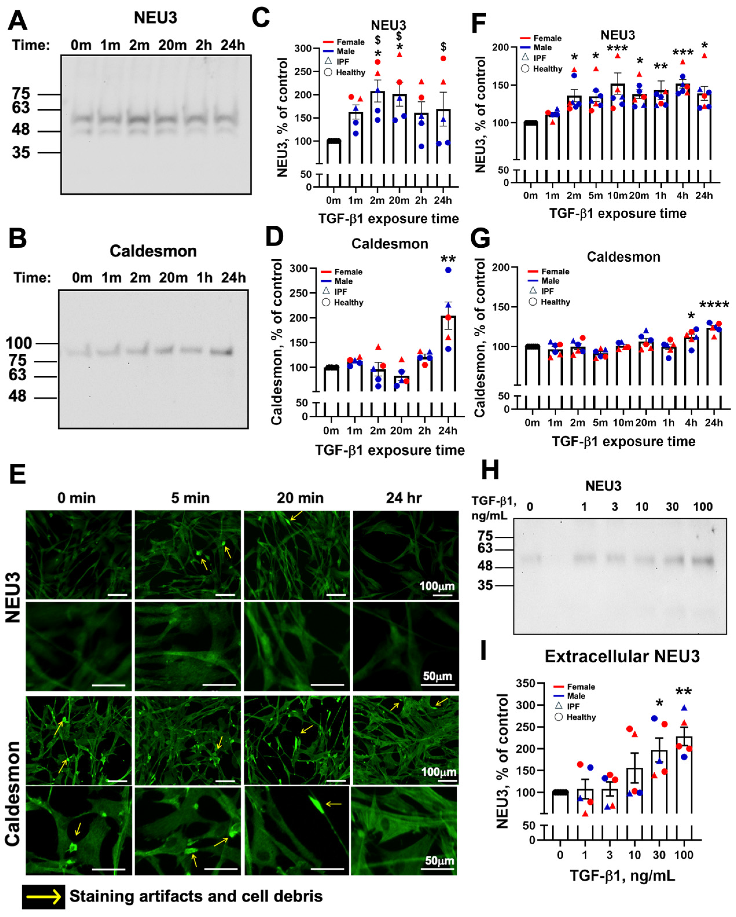 Cells 15 00404 g001 Cells 15 00404 g001