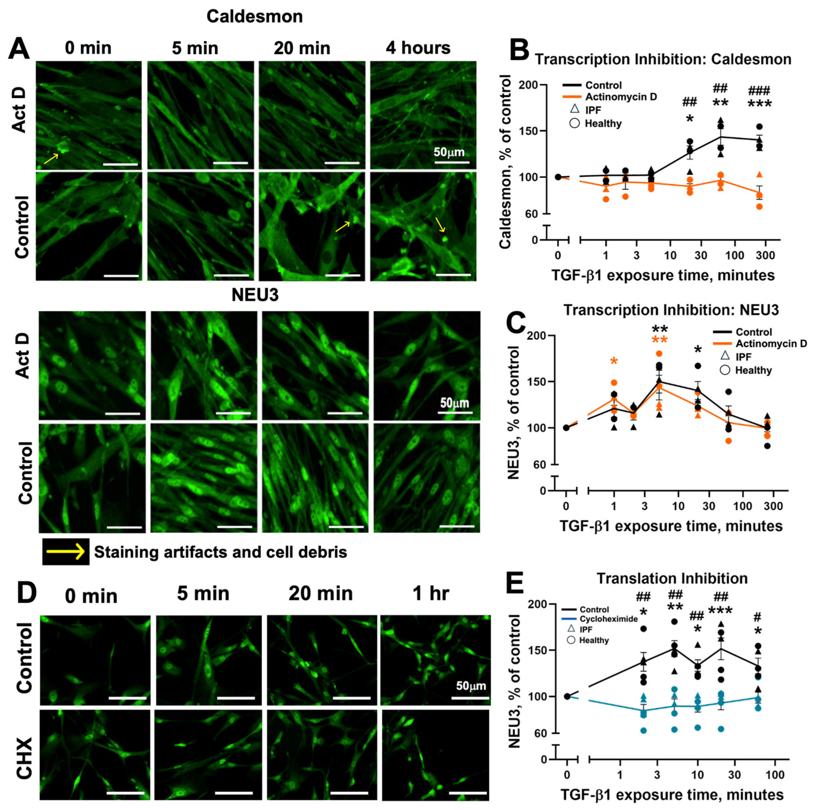 Cells 15 00404 g002 Cells 15 00404 g002
