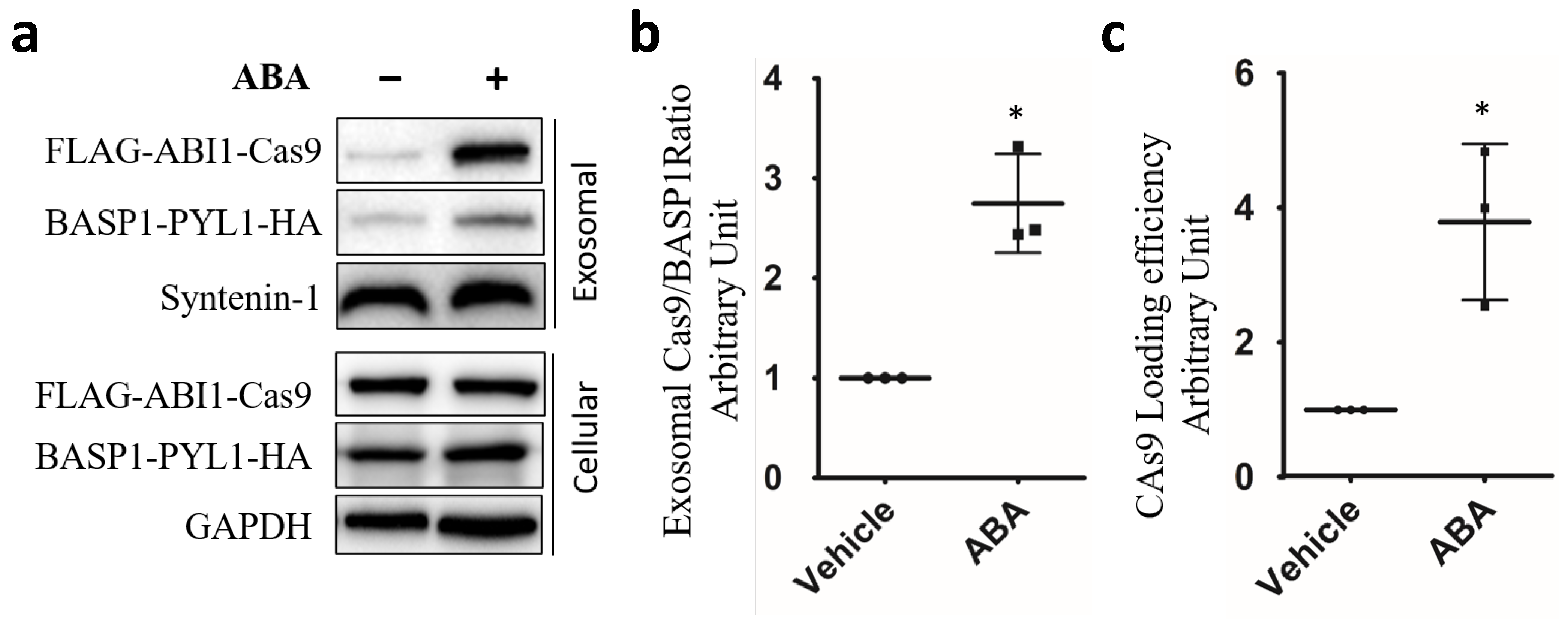 Cells 15 00405 g006 Cells 15 00405 g006