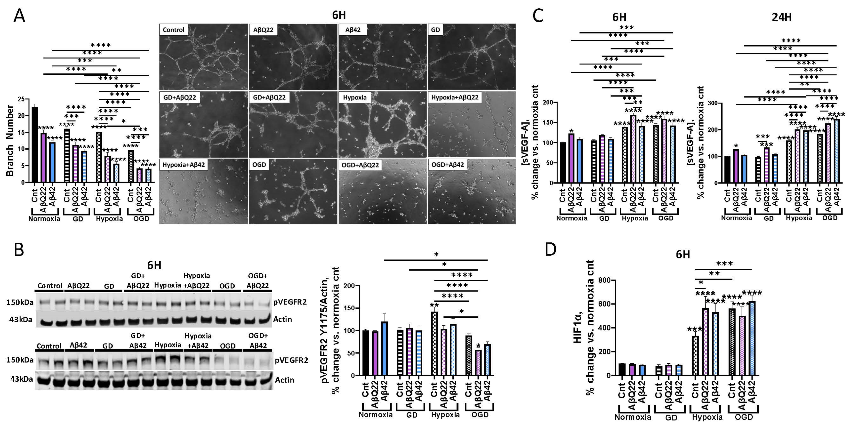 Cells 15 00424 g005 Cells 15 00424 g005