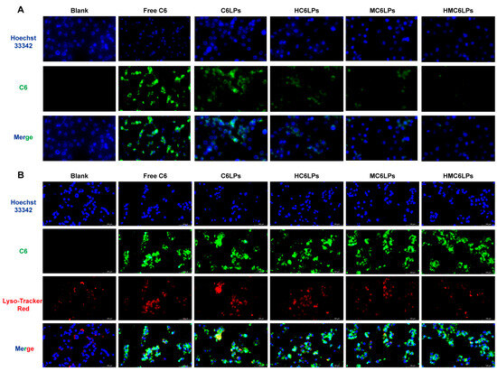 Cells 15 00426 g002