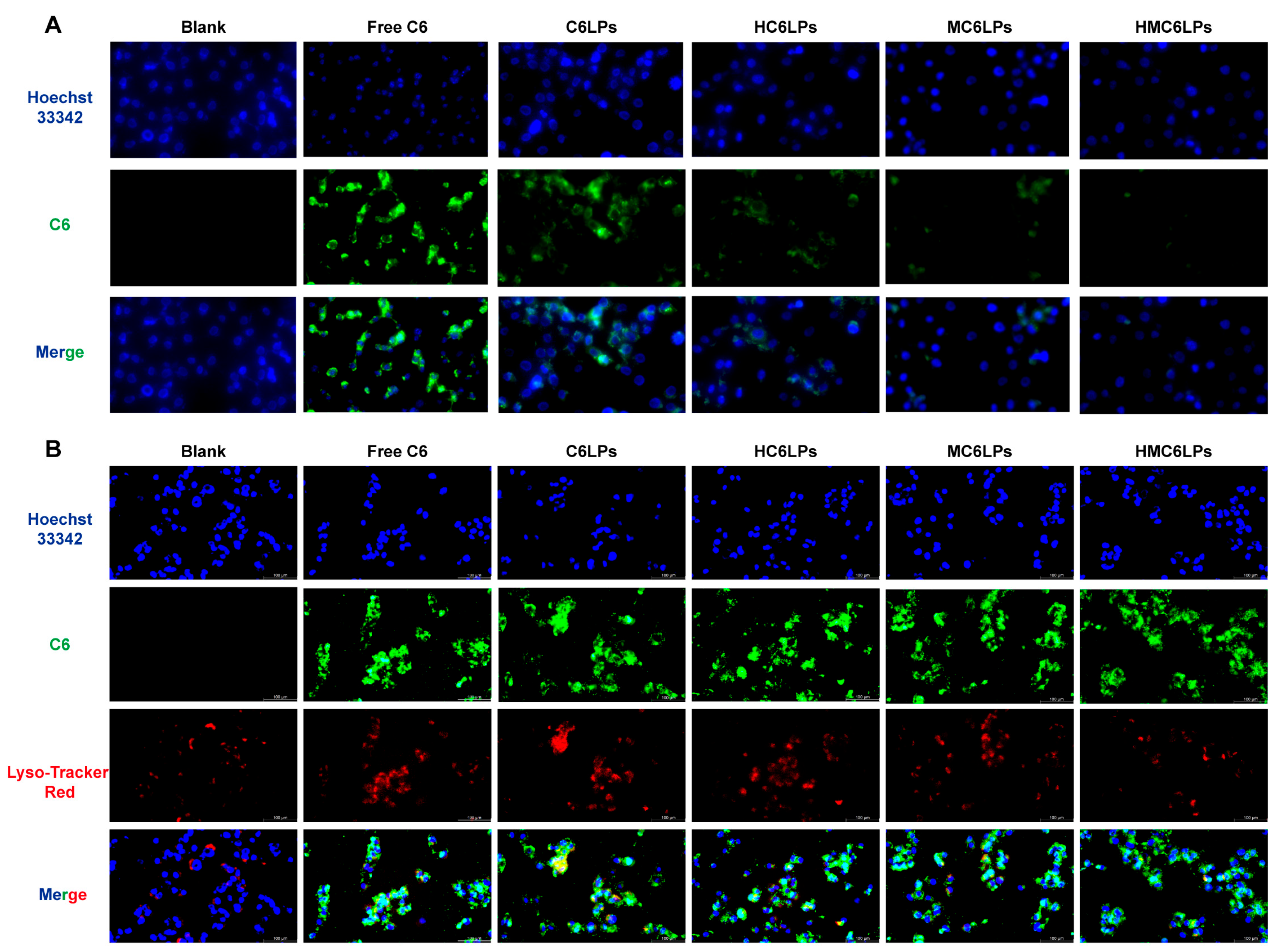 Cells 15 00426 g002 Cells 15 00426 g002
