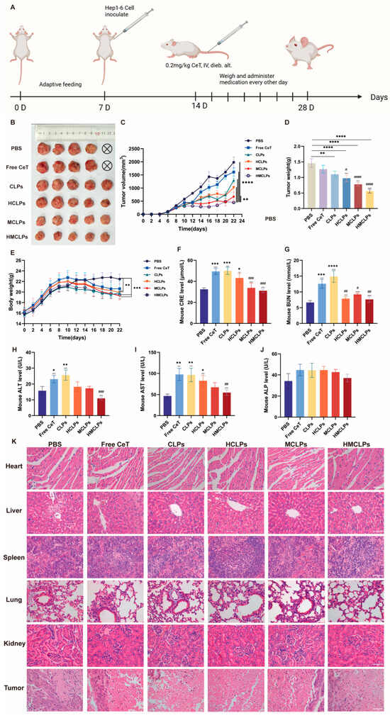 Cells 15 00426 g007