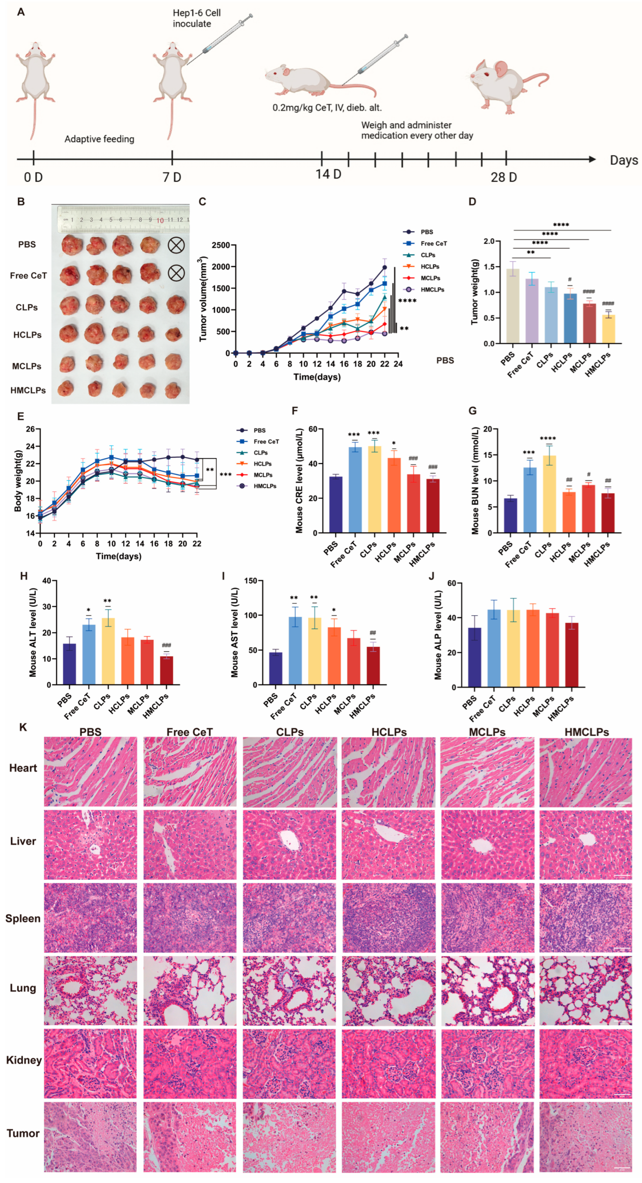 Cells 15 00426 g007 Cells 15 00426 g007