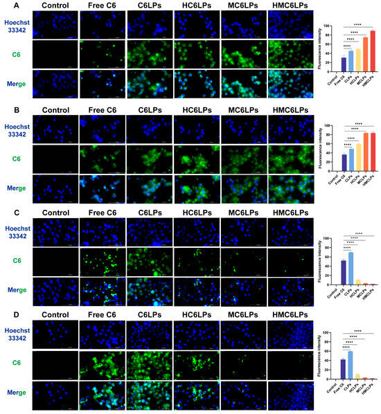 Cells 15 00426 g0s5
