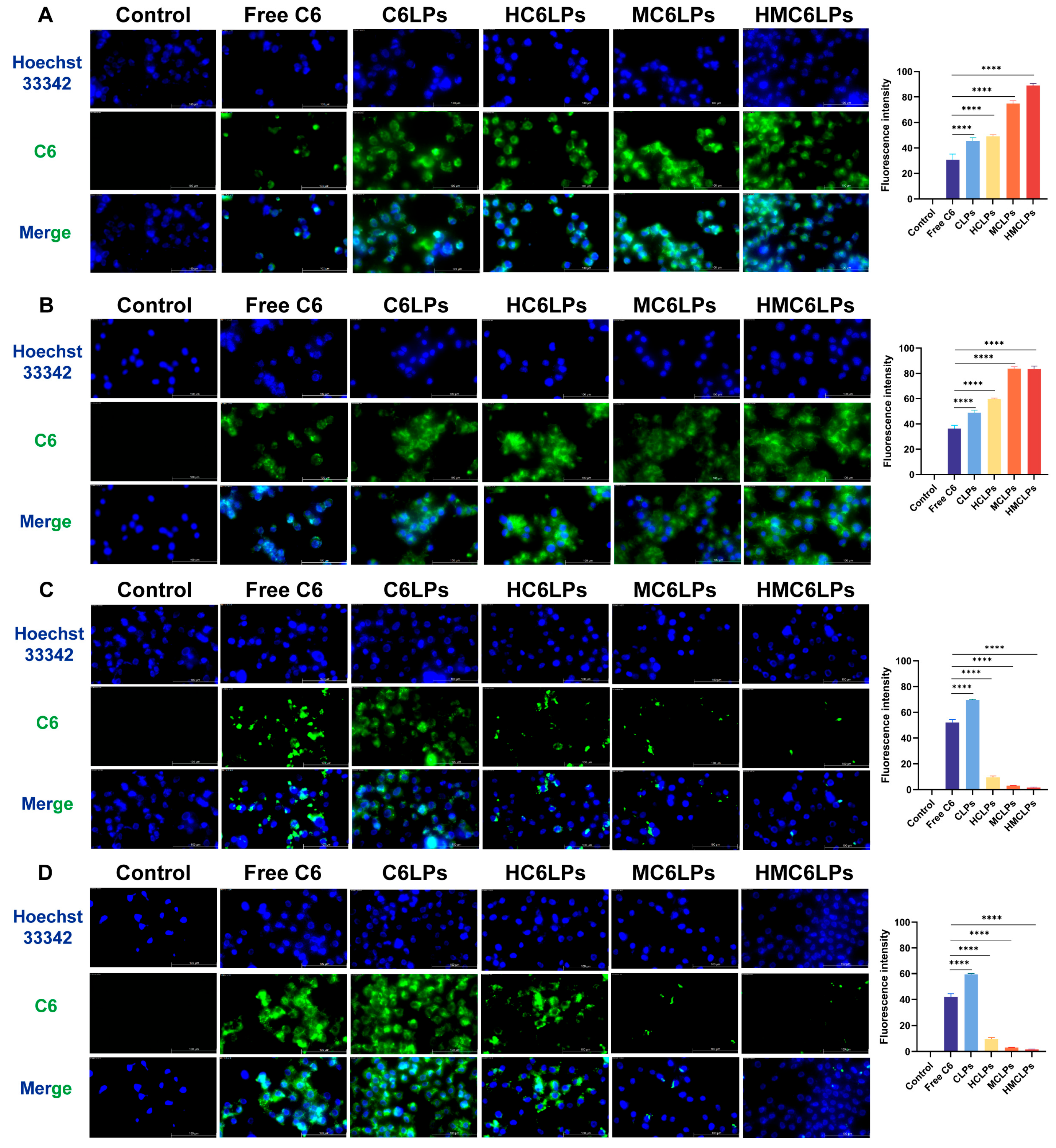 Cells 15 00426 g0s5 Cells 15 00426 g0s5