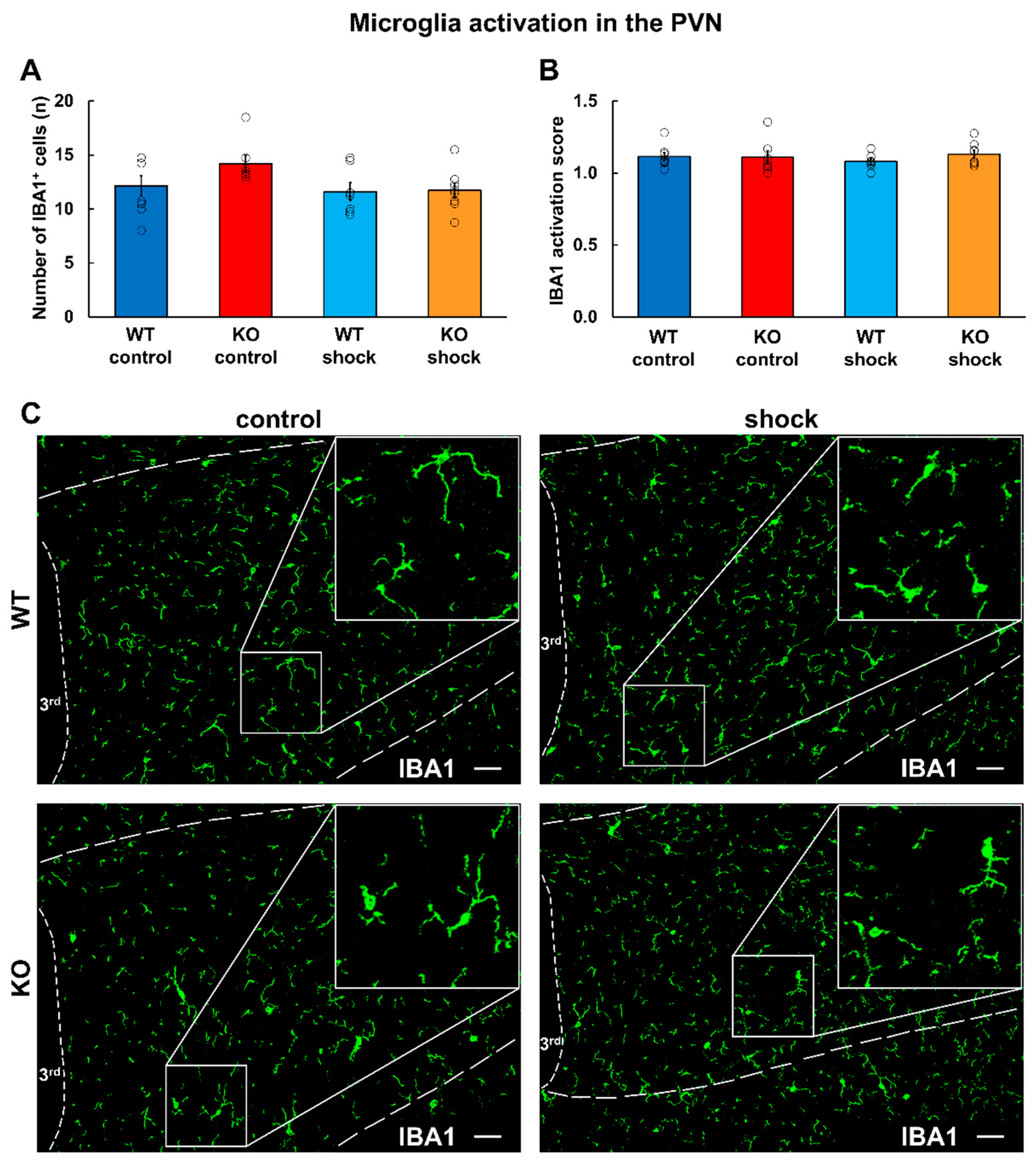 Cells 15 00428 g005 Cells 15 00428 g005