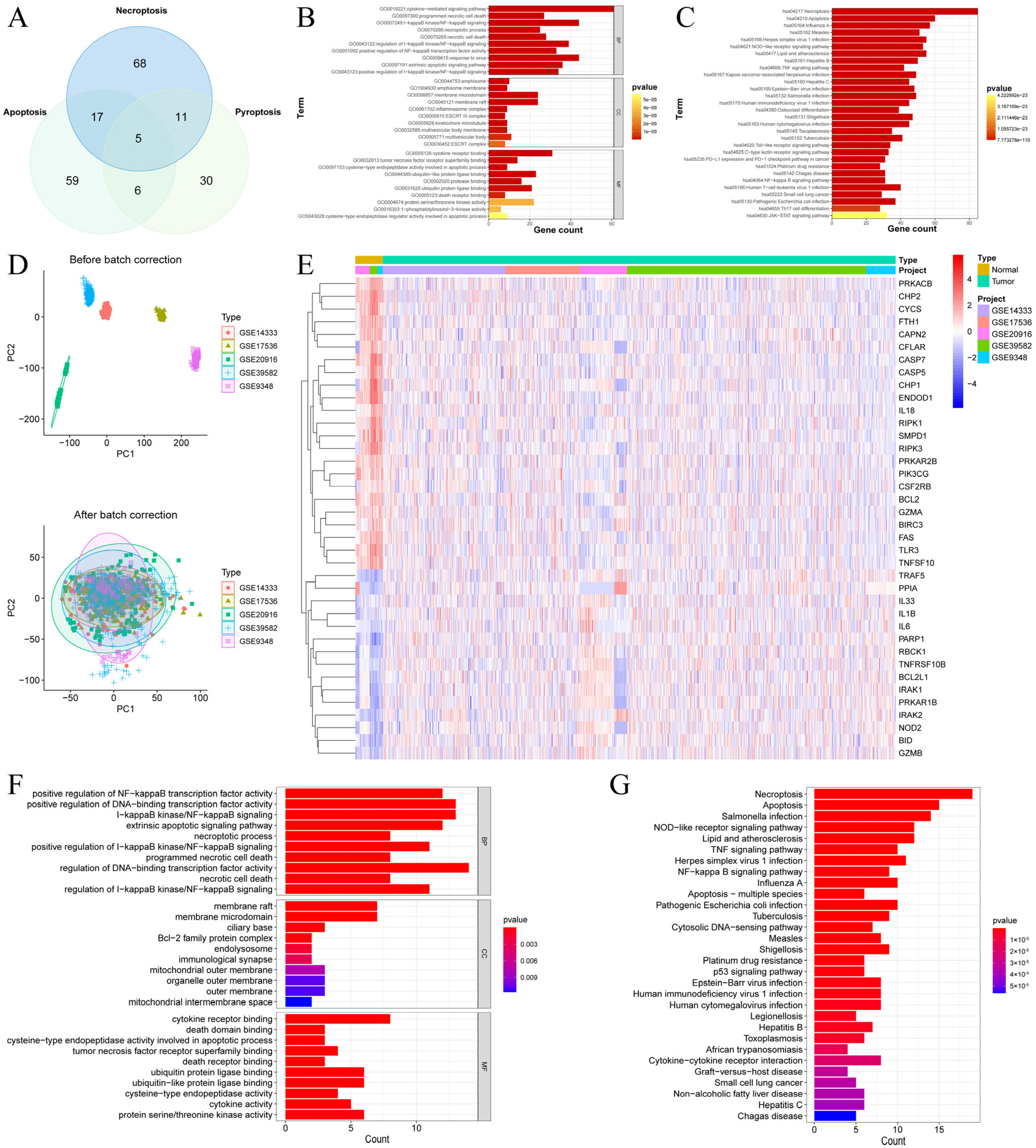 Cells 15 00430 g001 Cells 15 00430 g001