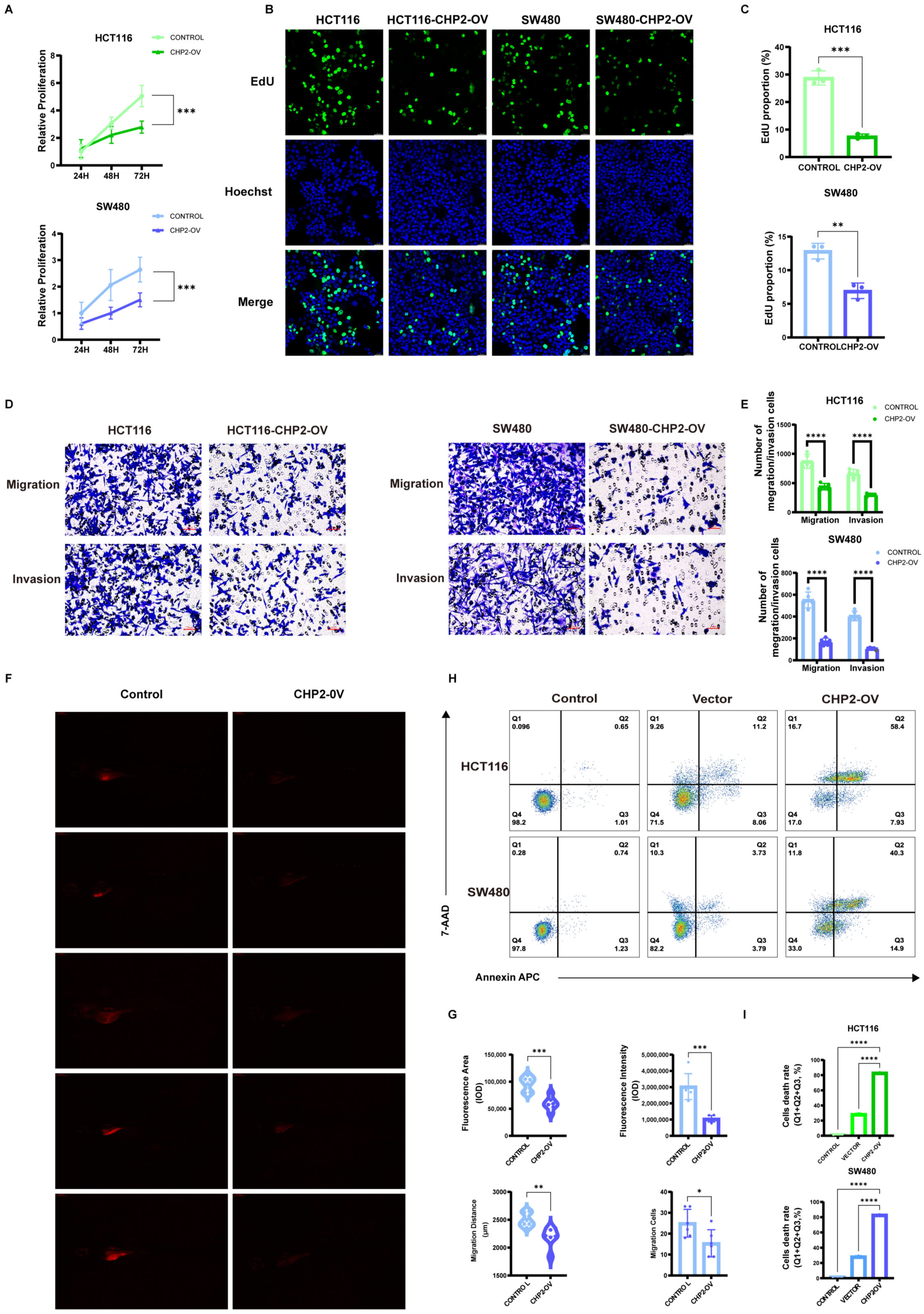 Cells 15 00430 g010 Cells 15 00430 g010