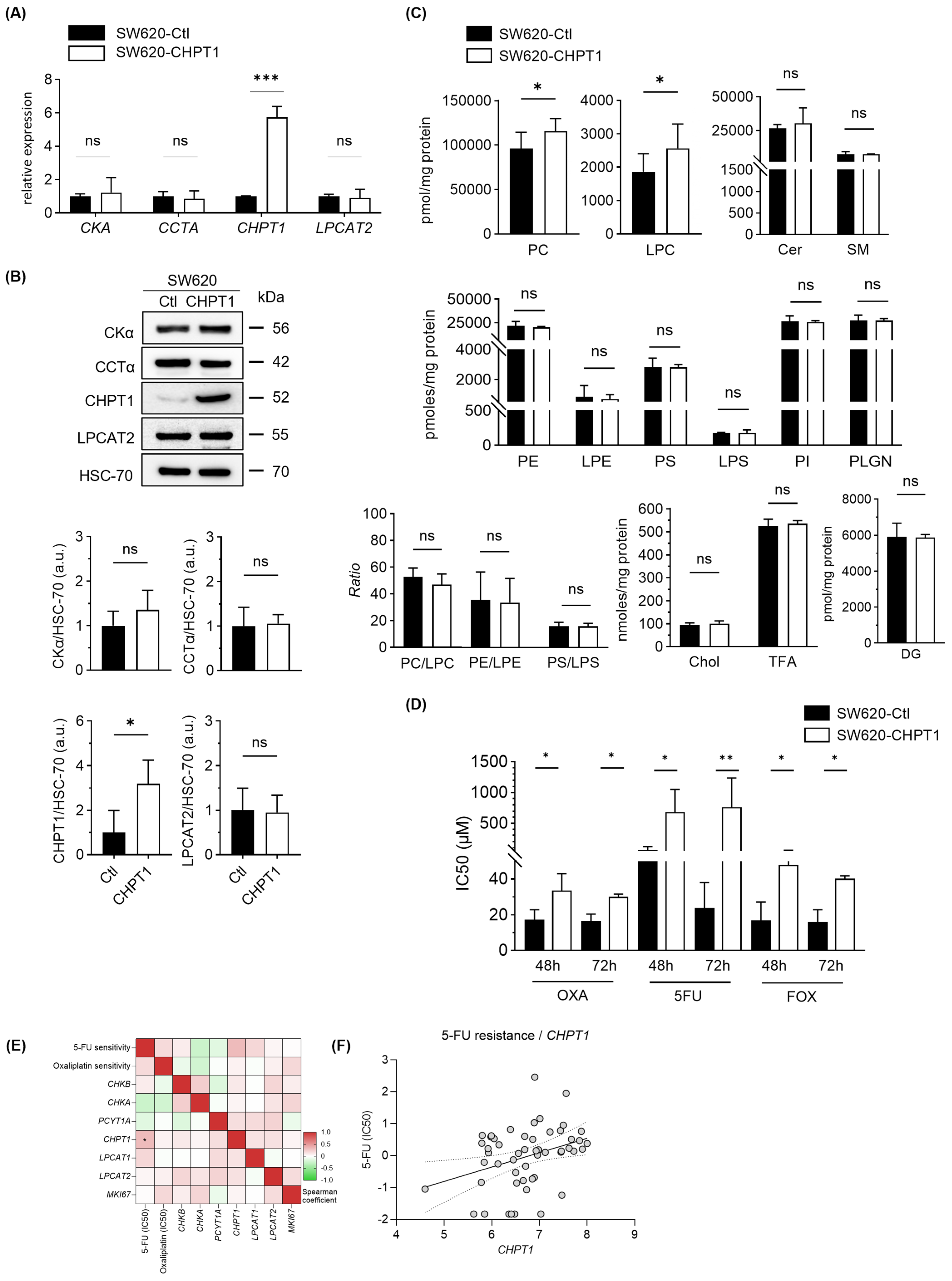 Cells 15 00439 g004 Cells 15 00439 g004
