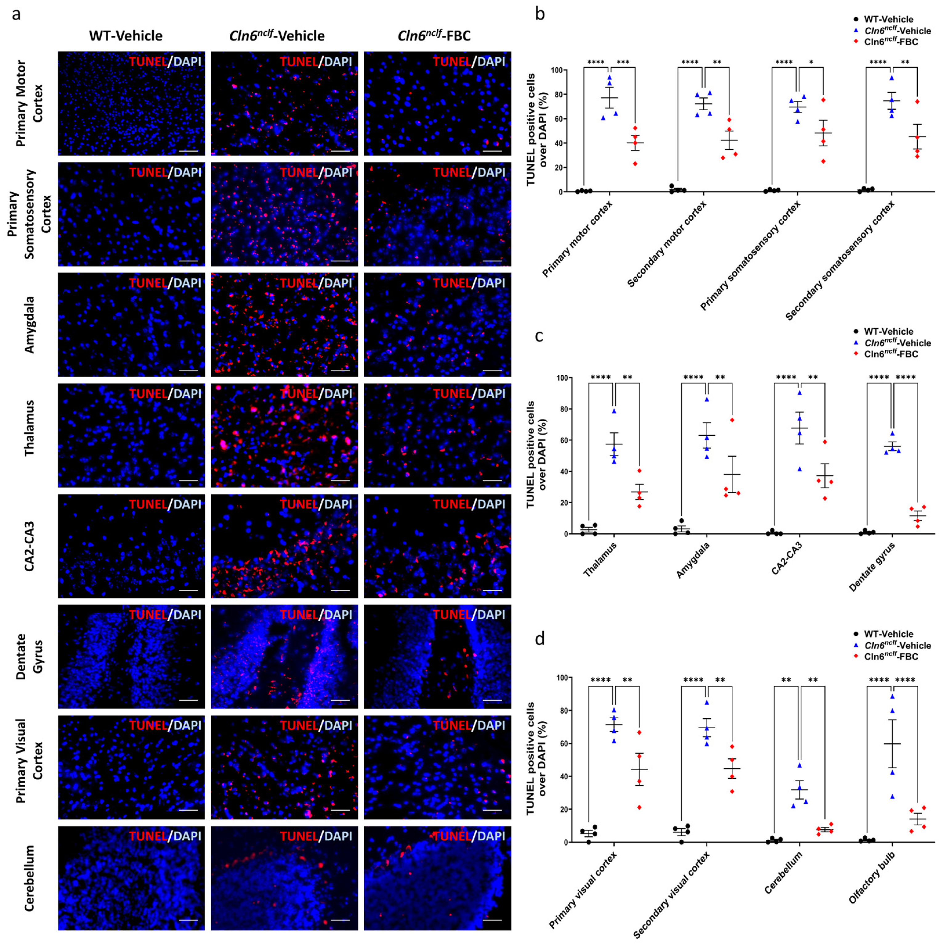 Cells 15 00442 g006 Cells 15 00442 g006