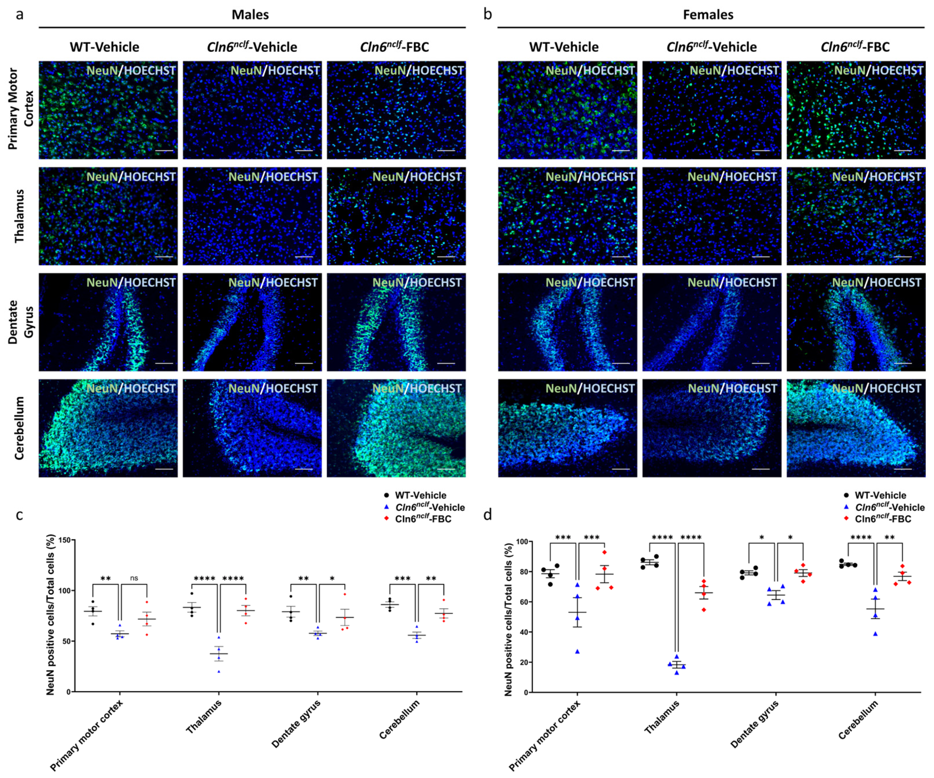 Cells 15 00442 g008 Cells 15 00442 g008