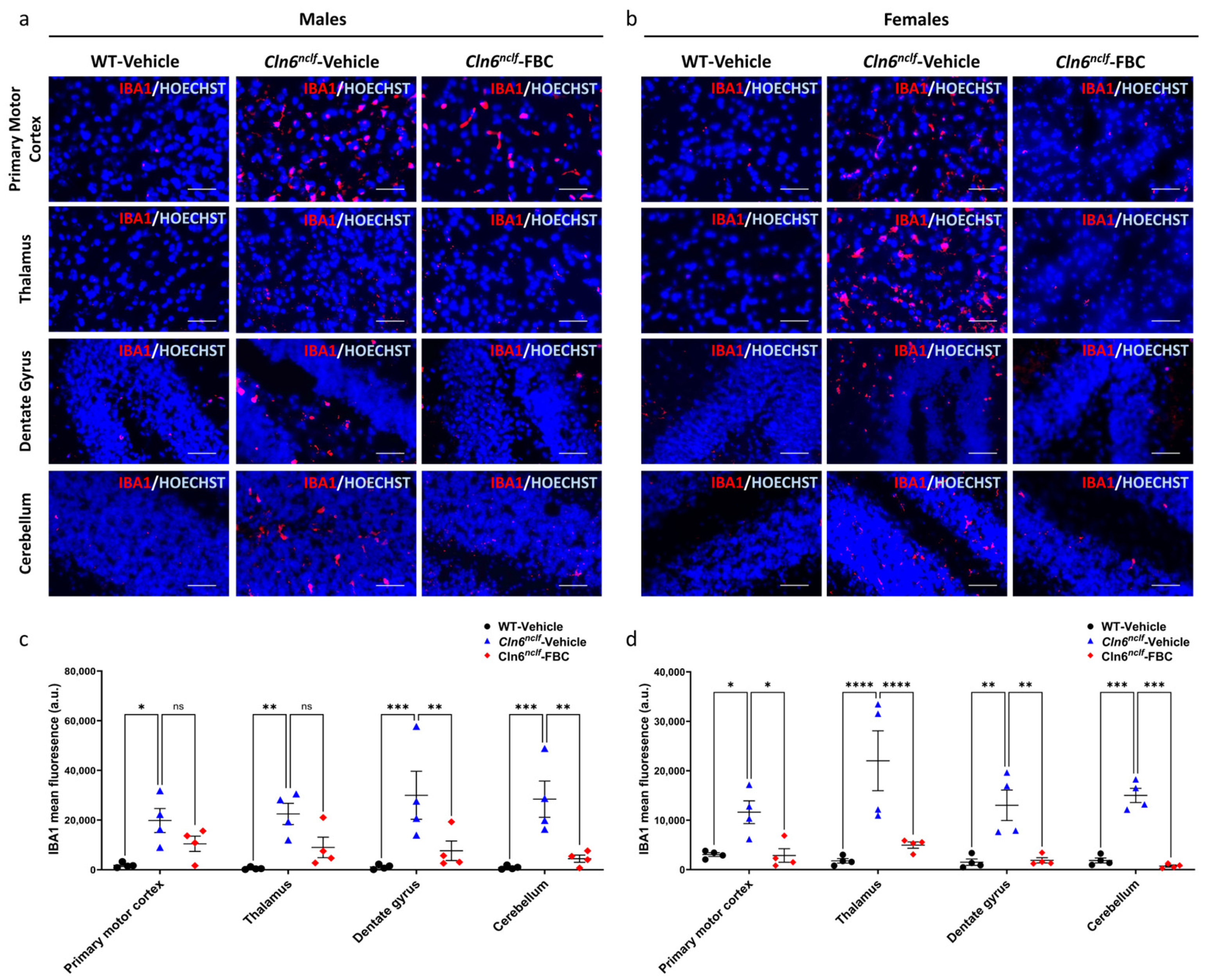 Cells 15 00442 g012 Cells 15 00442 g012