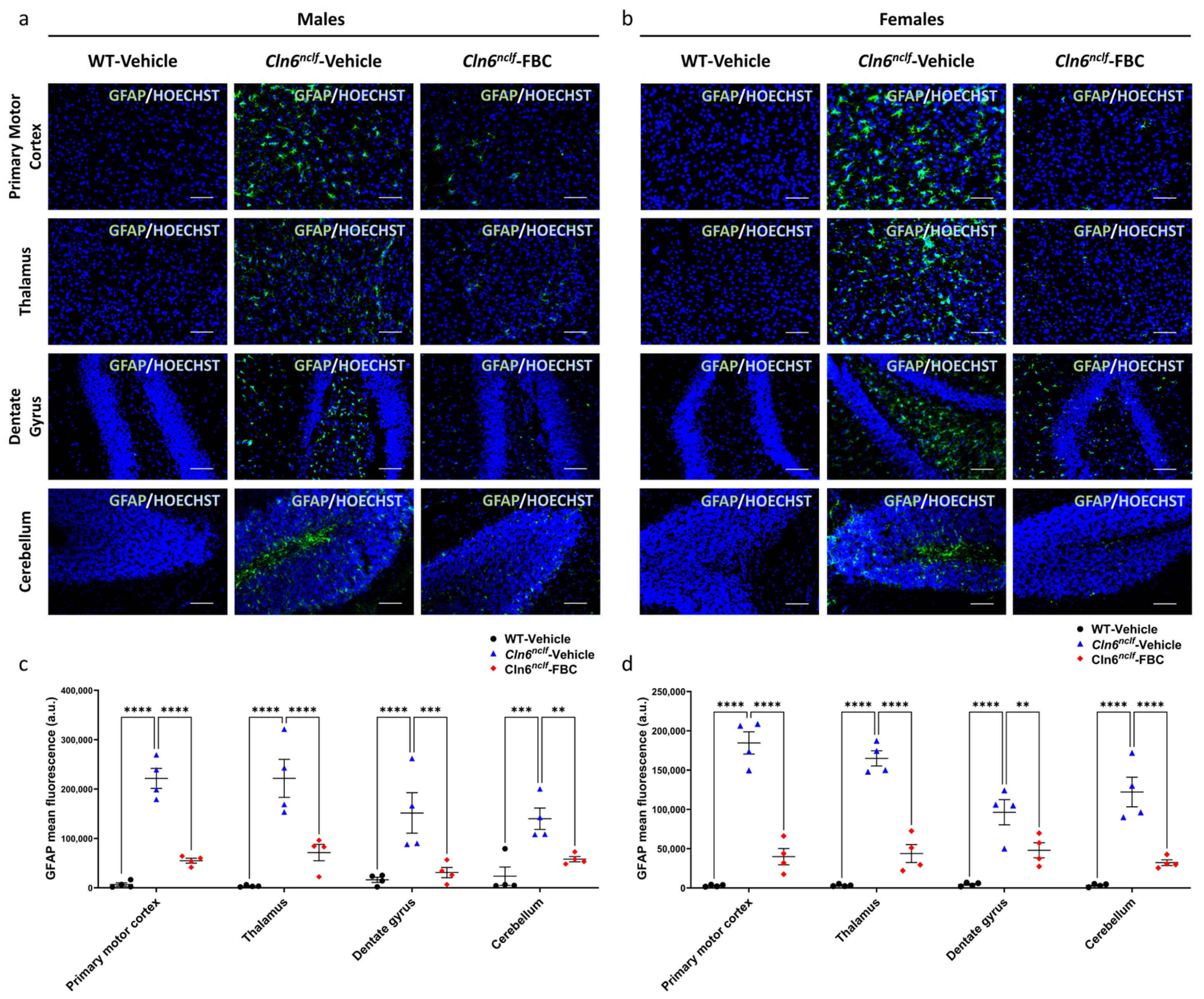 Cells 15 00442 g013 Cells 15 00442 g013