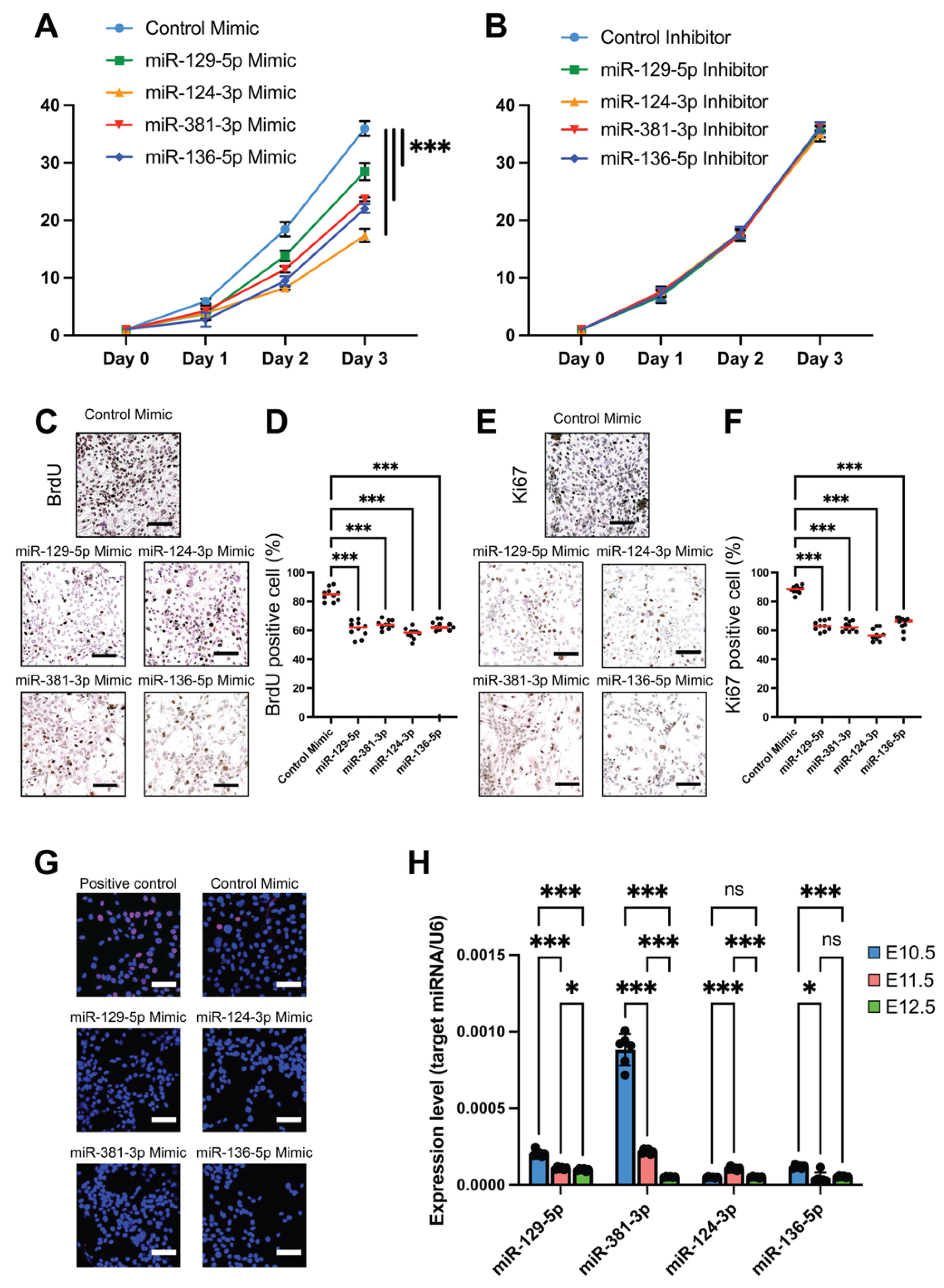 Cells 15 00453 g002 Cells 15 00453 g002