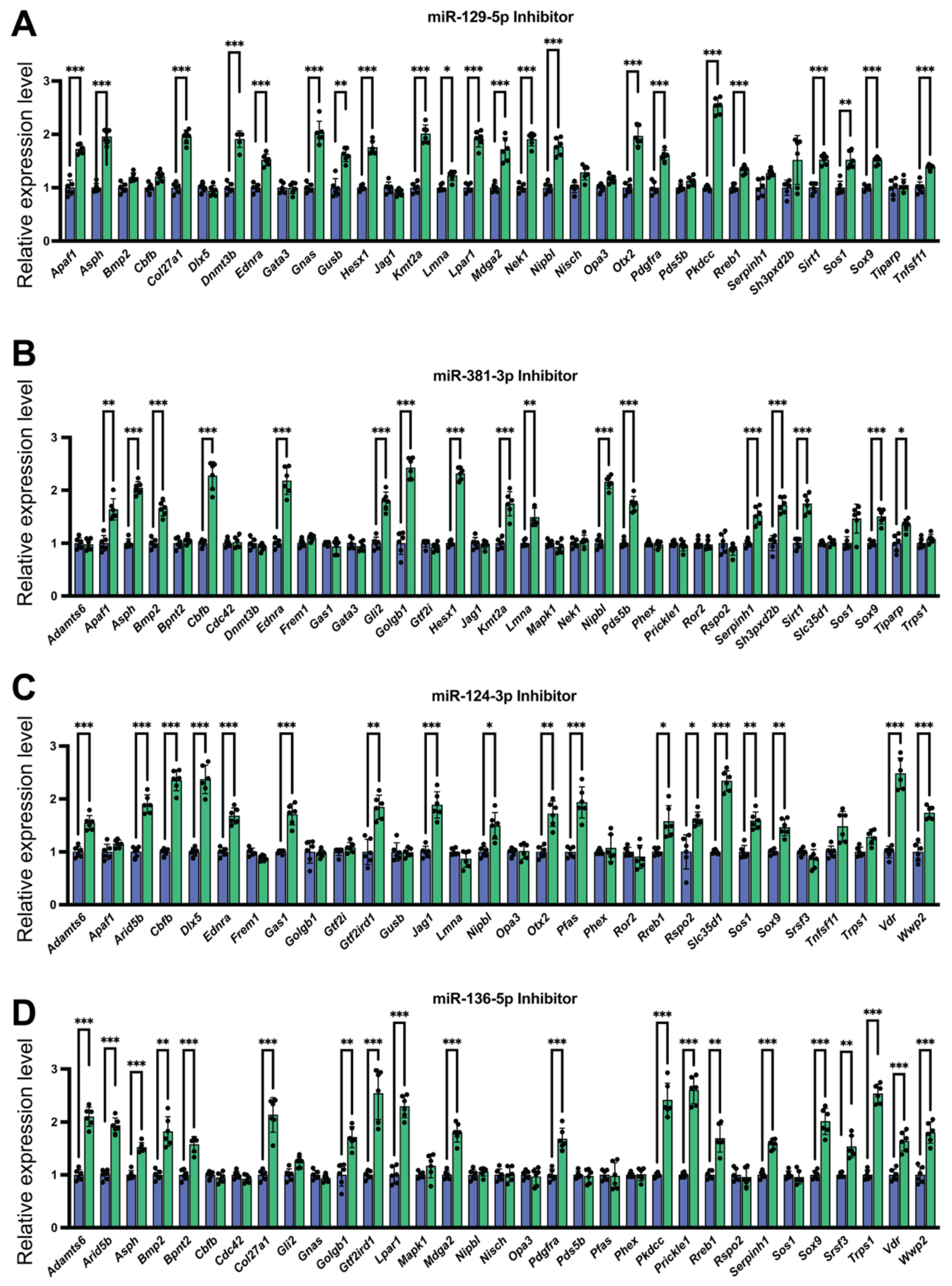 Cells 15 00453 g005 Cells 15 00453 g005