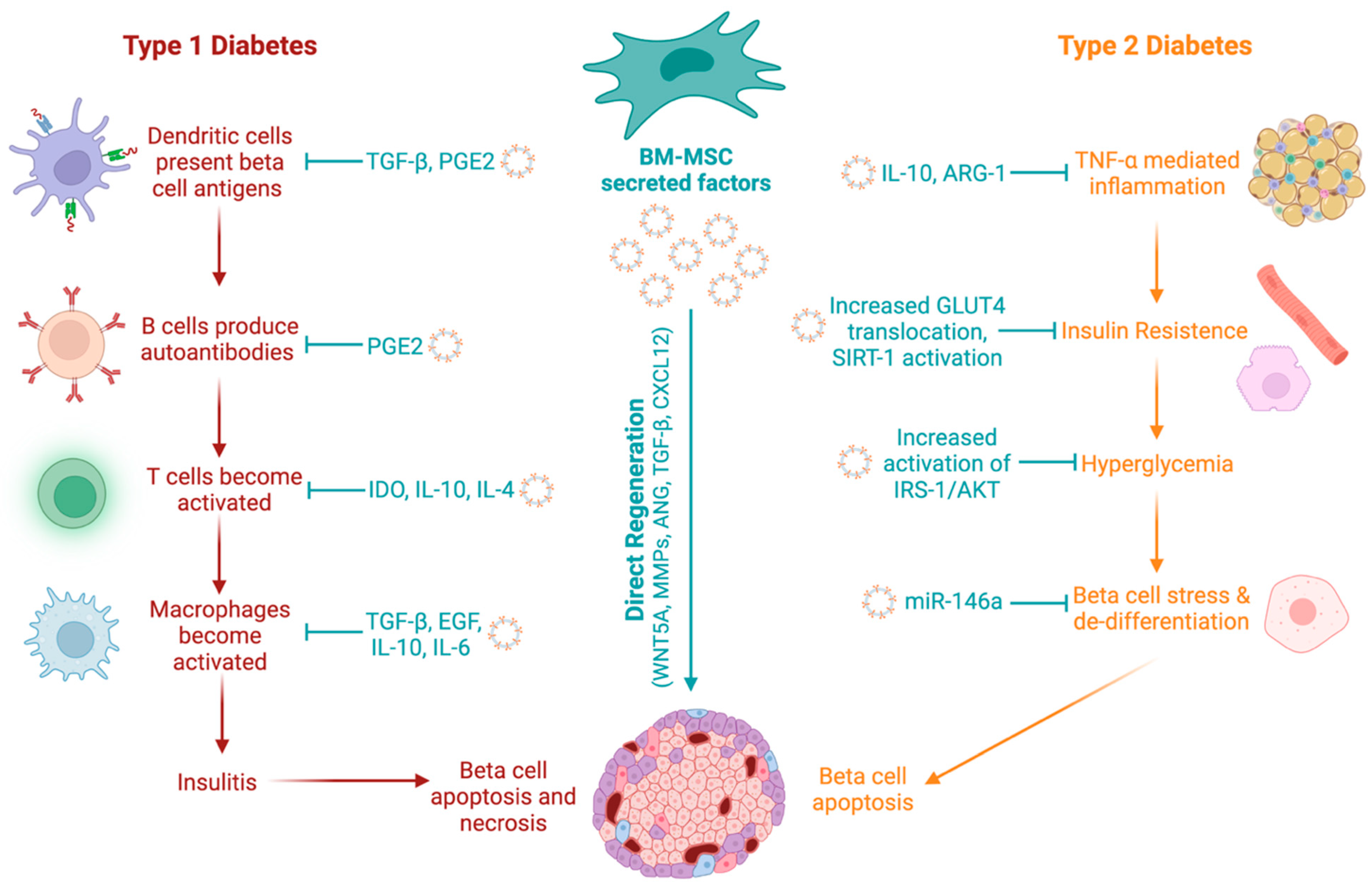 Cells 15 00488 g001 Cells 15 00488 g001