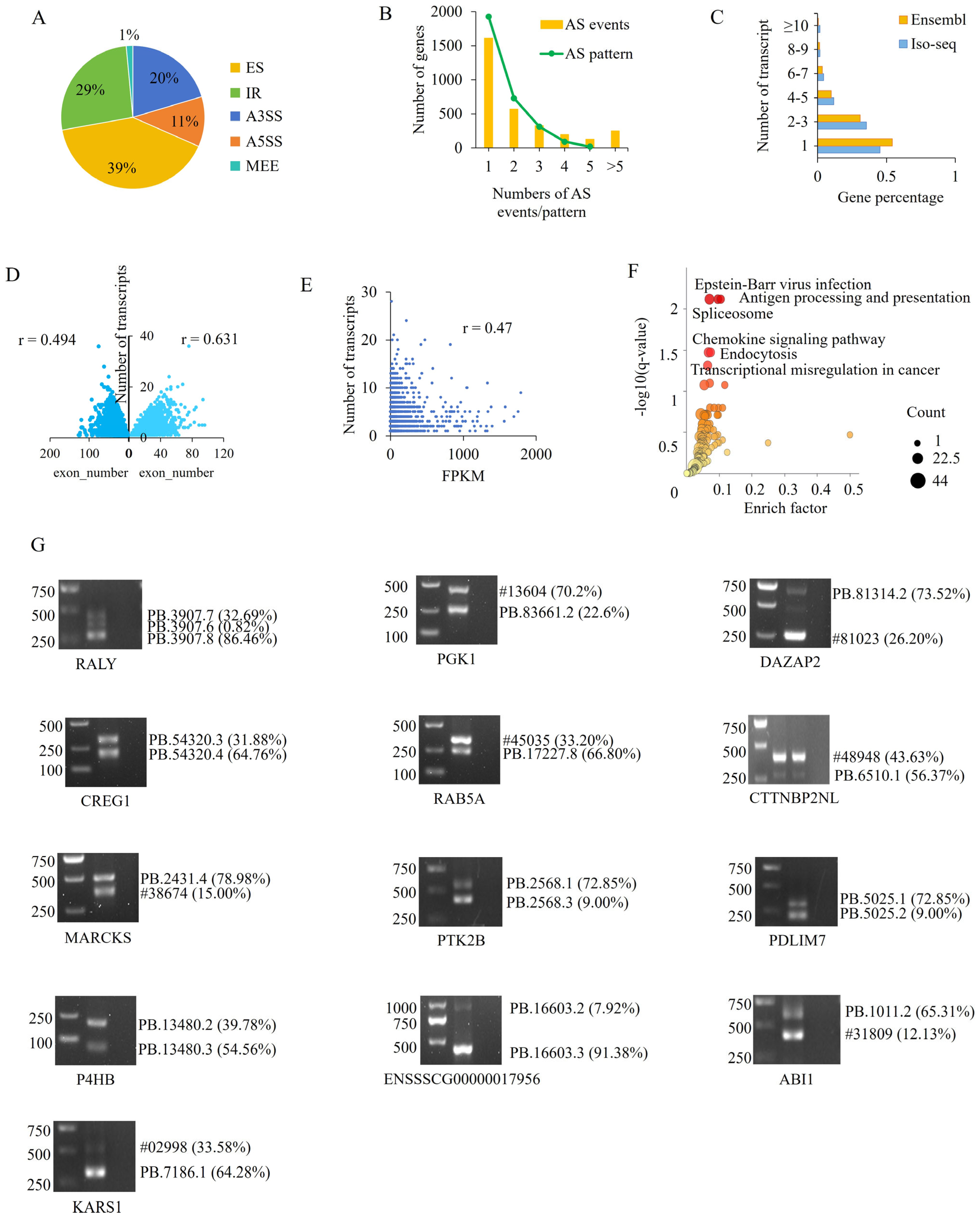 Cells 15 00496 g002 Cells 15 00496 g002