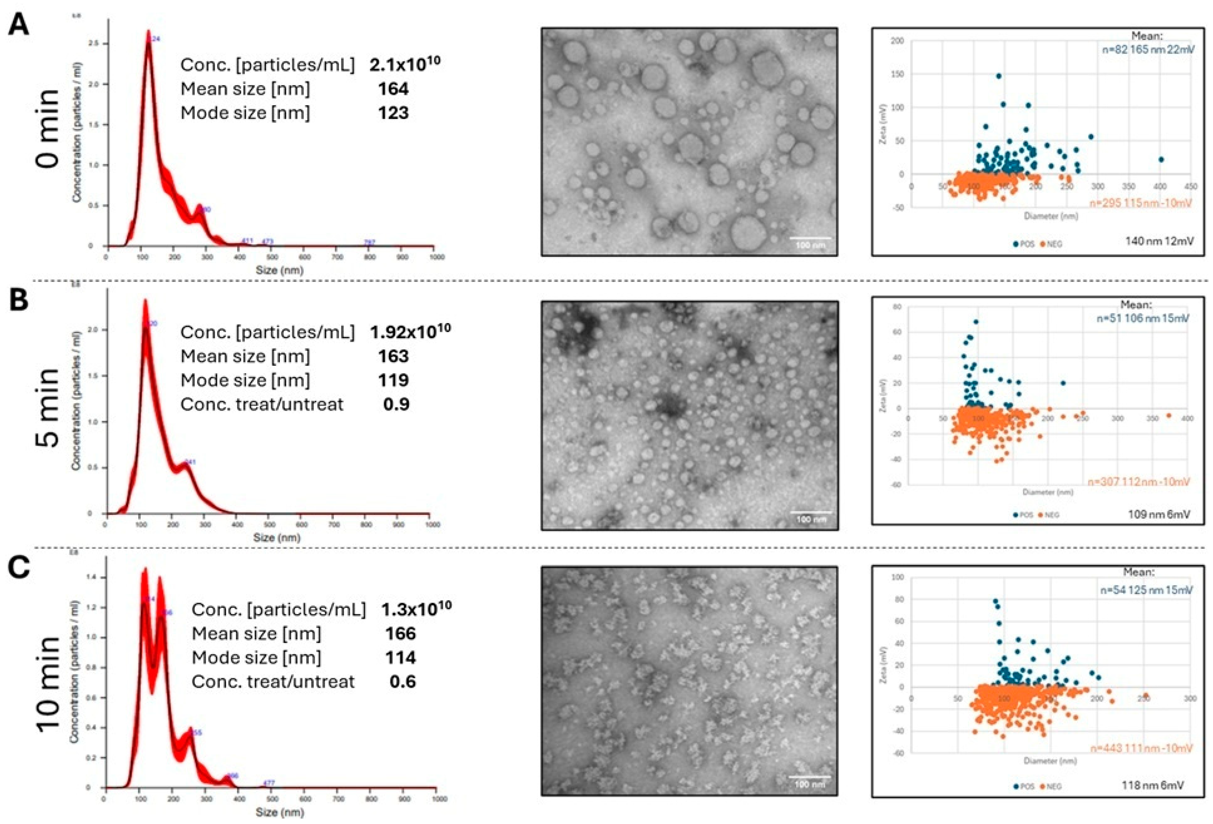 Cells 15 00512 g003 Cells 15 00512 g003