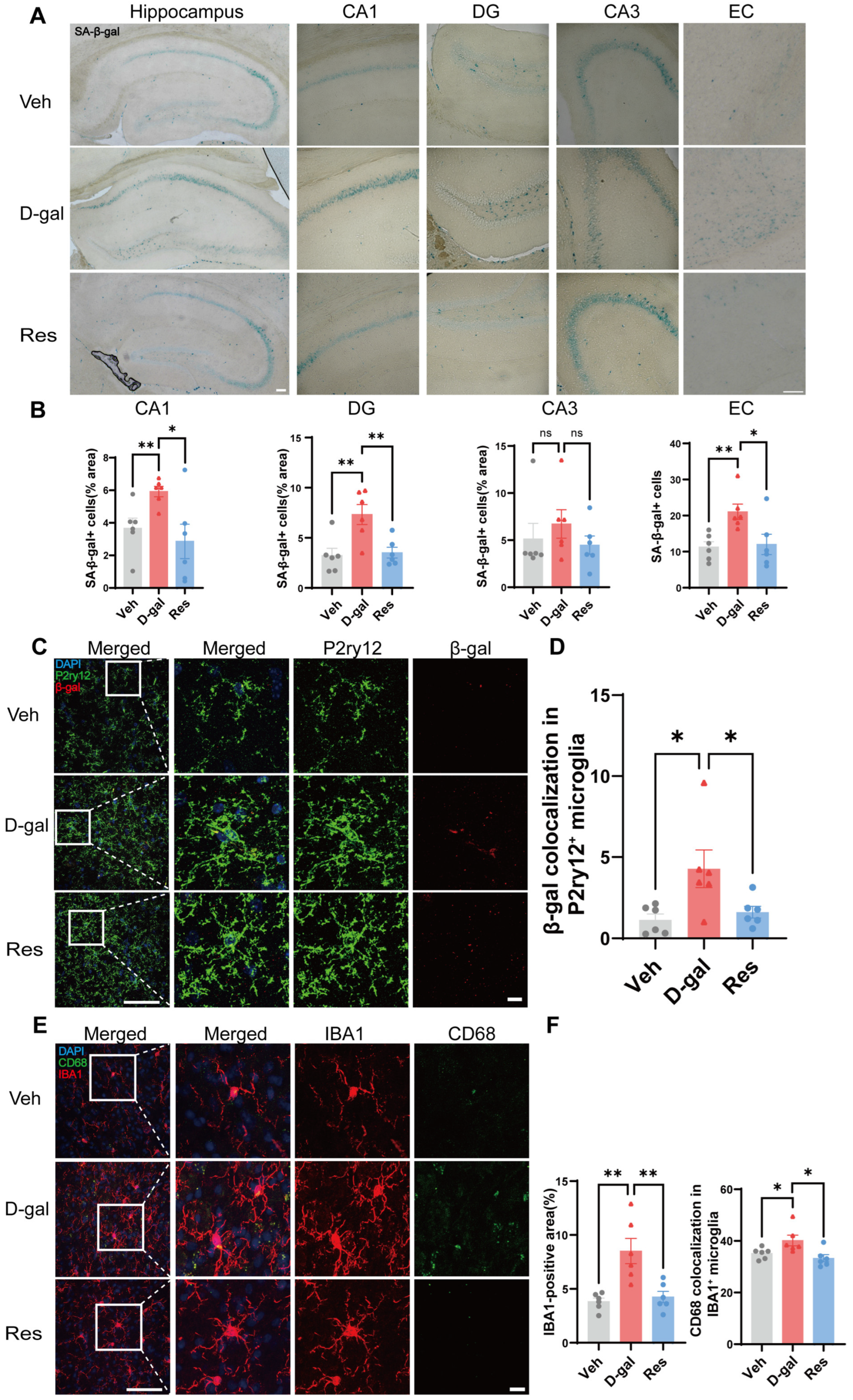 Cells 15 00523 g002 Cells 15 00523 g002