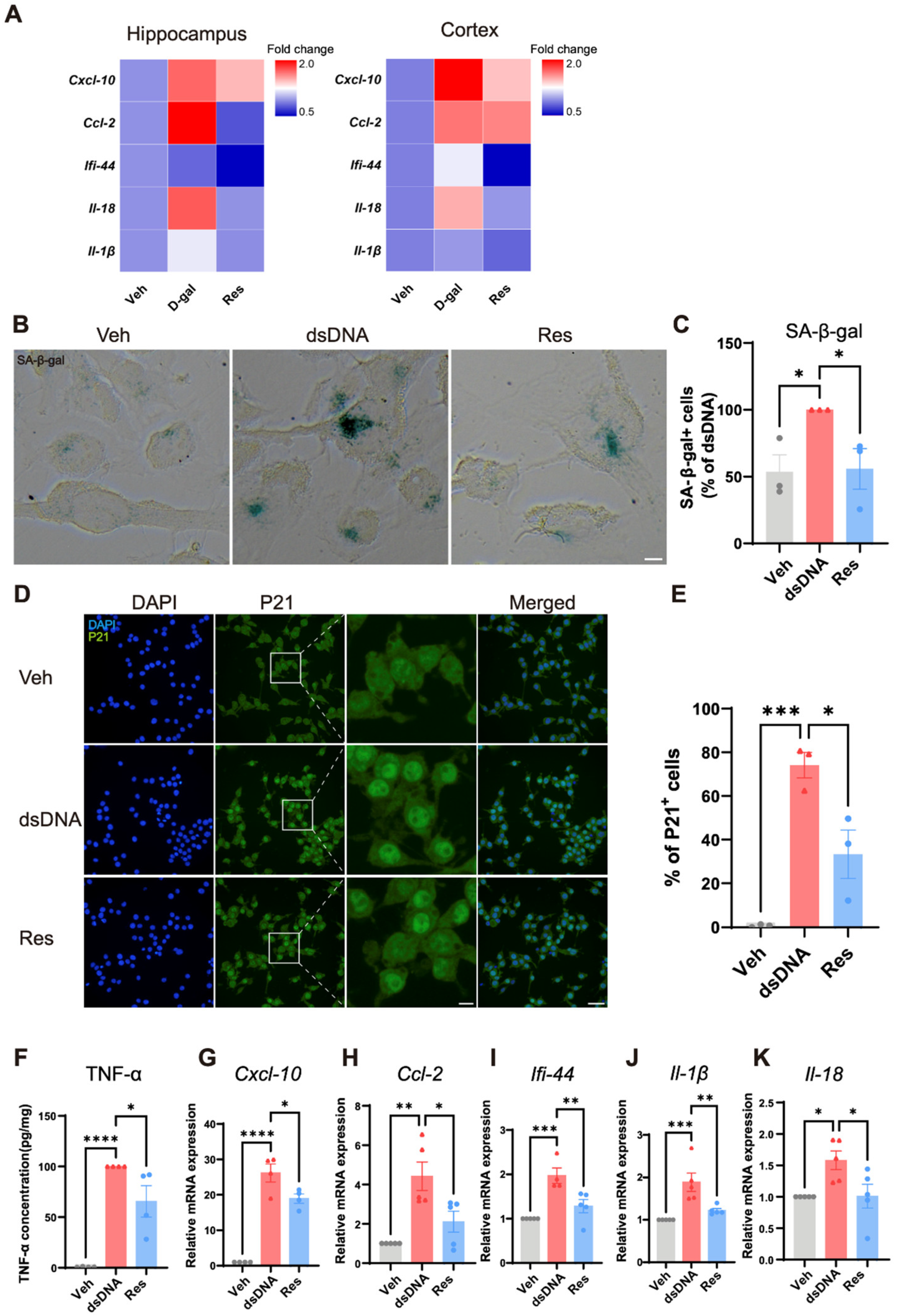 Cells 15 00523 g003 Cells 15 00523 g003