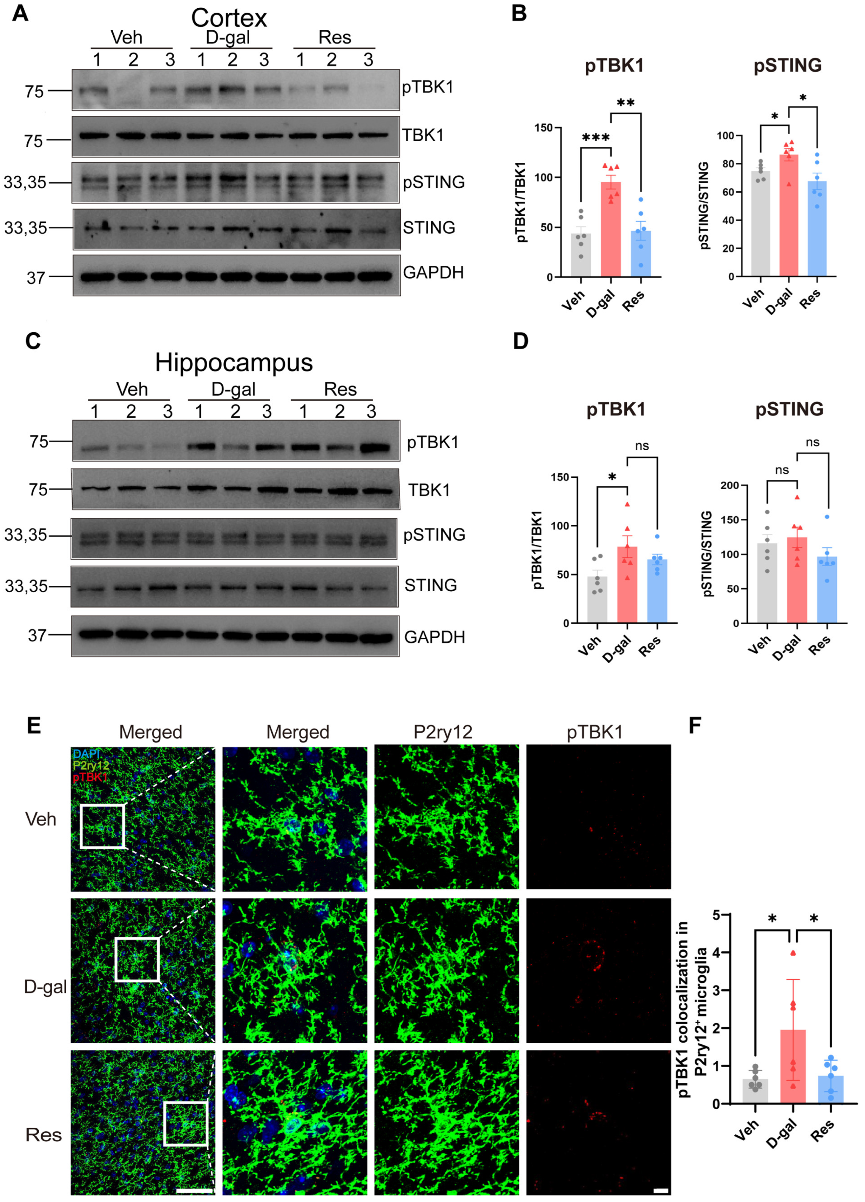 Cells 15 00523 g005 Cells 15 00523 g005