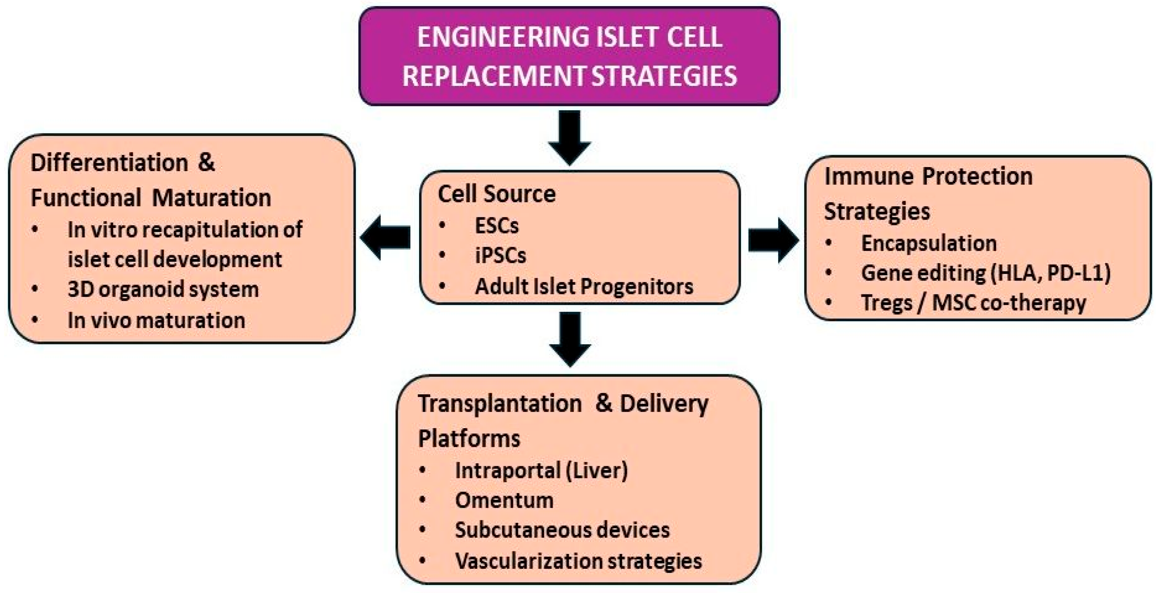 Cells 15 00532 g001 Cells 15 00532 g001