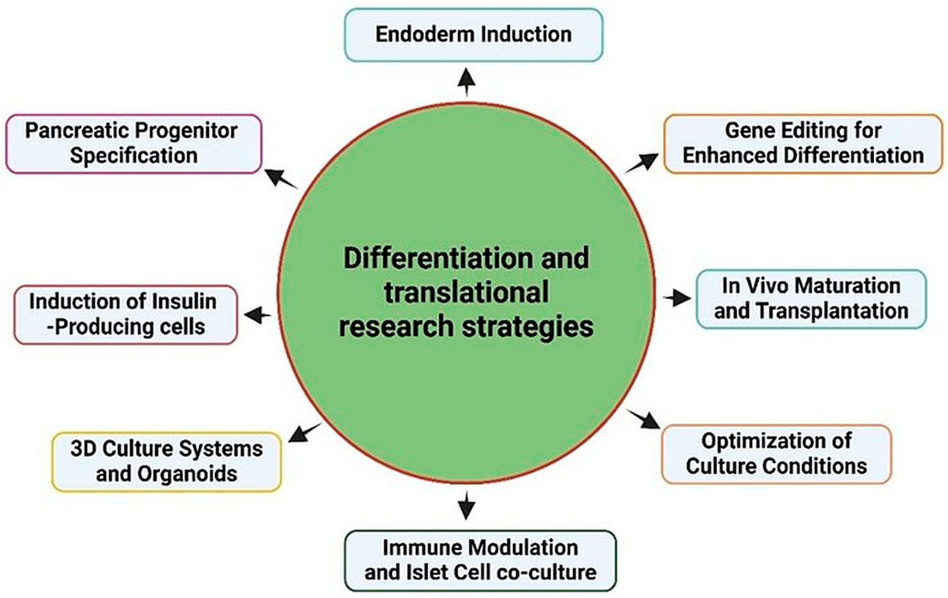 Cells 15 00532 g002 Cells 15 00532 g002