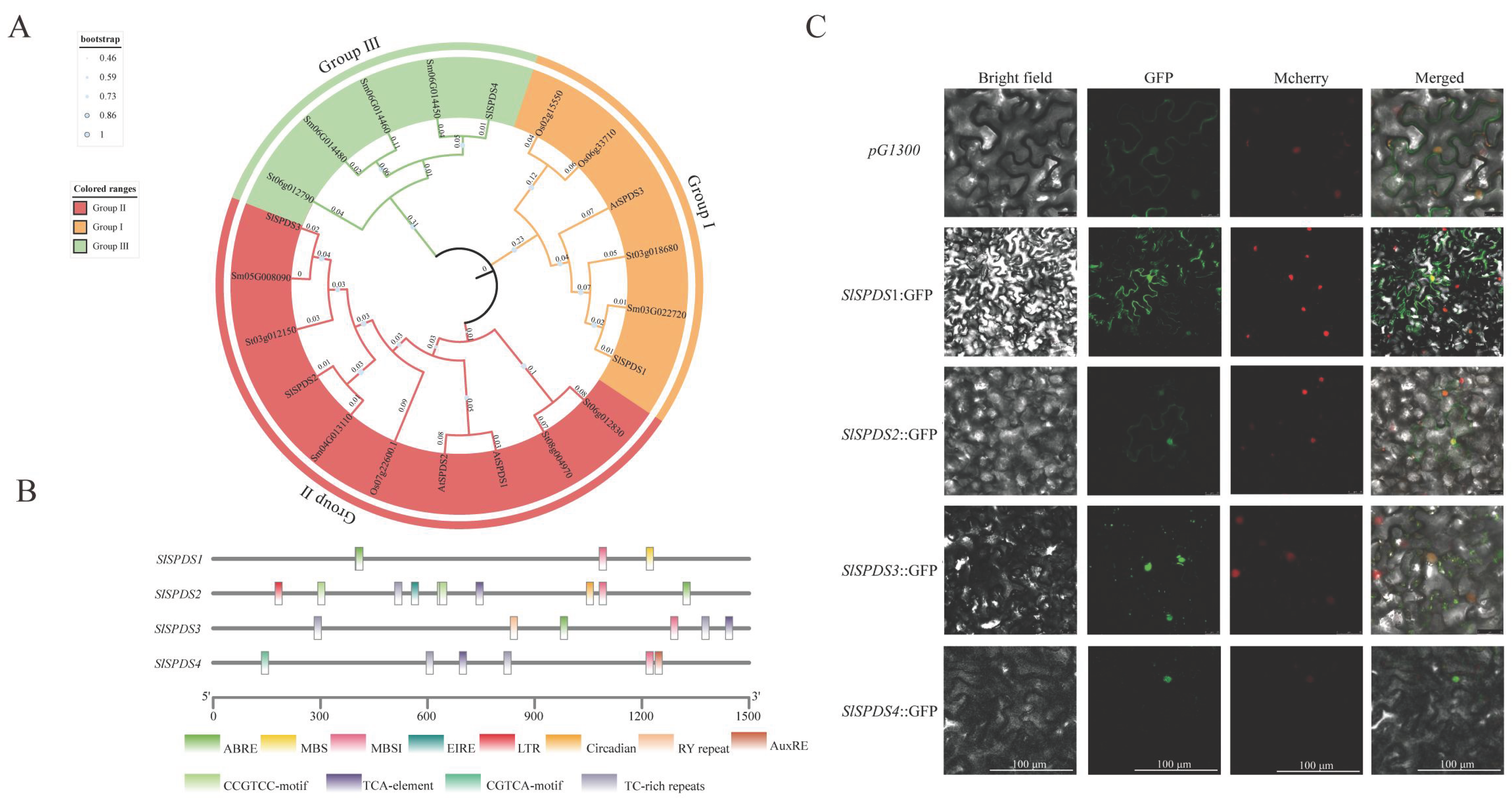 Cells 15 00533 g001
