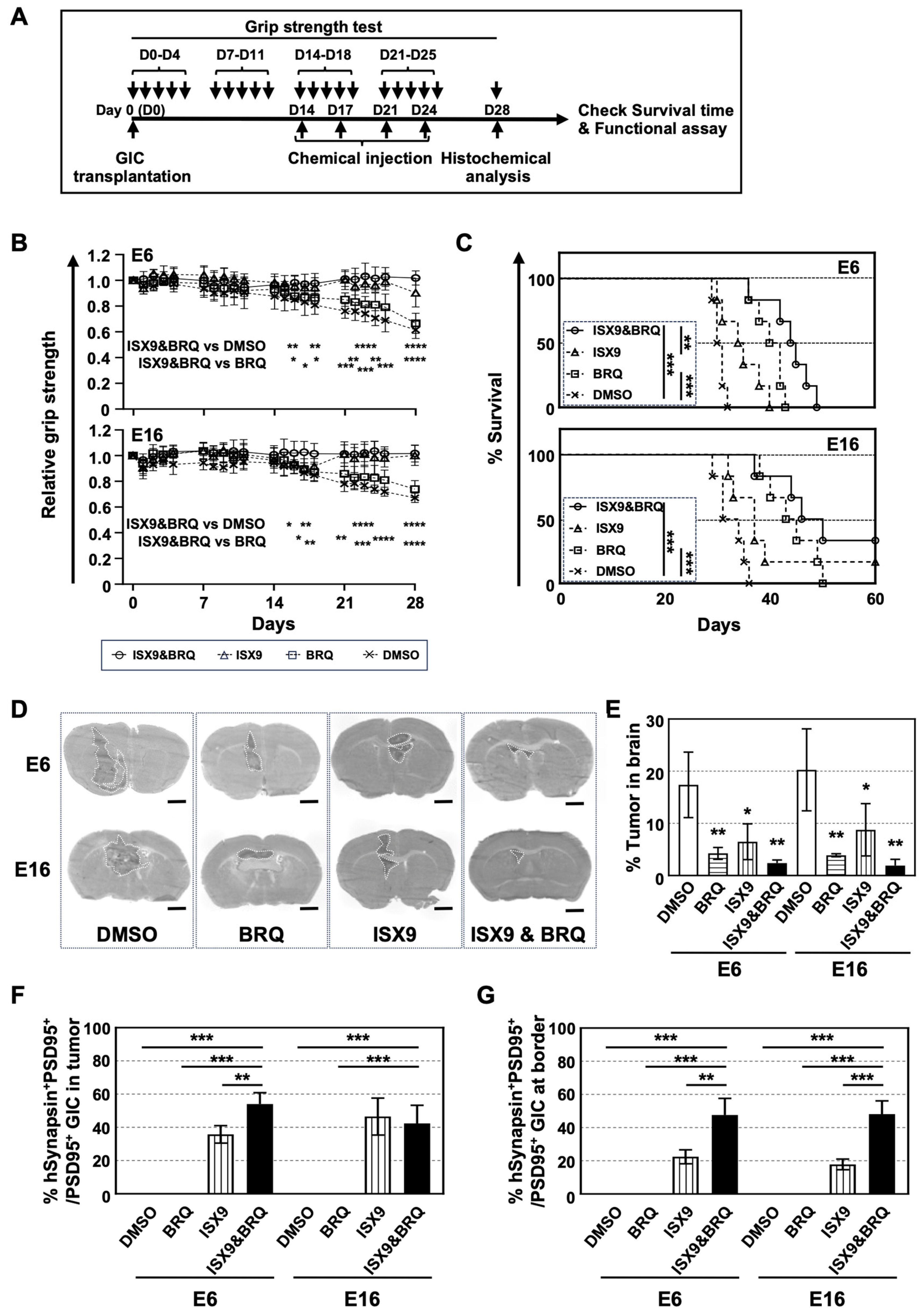 Cells 15 00539 g005