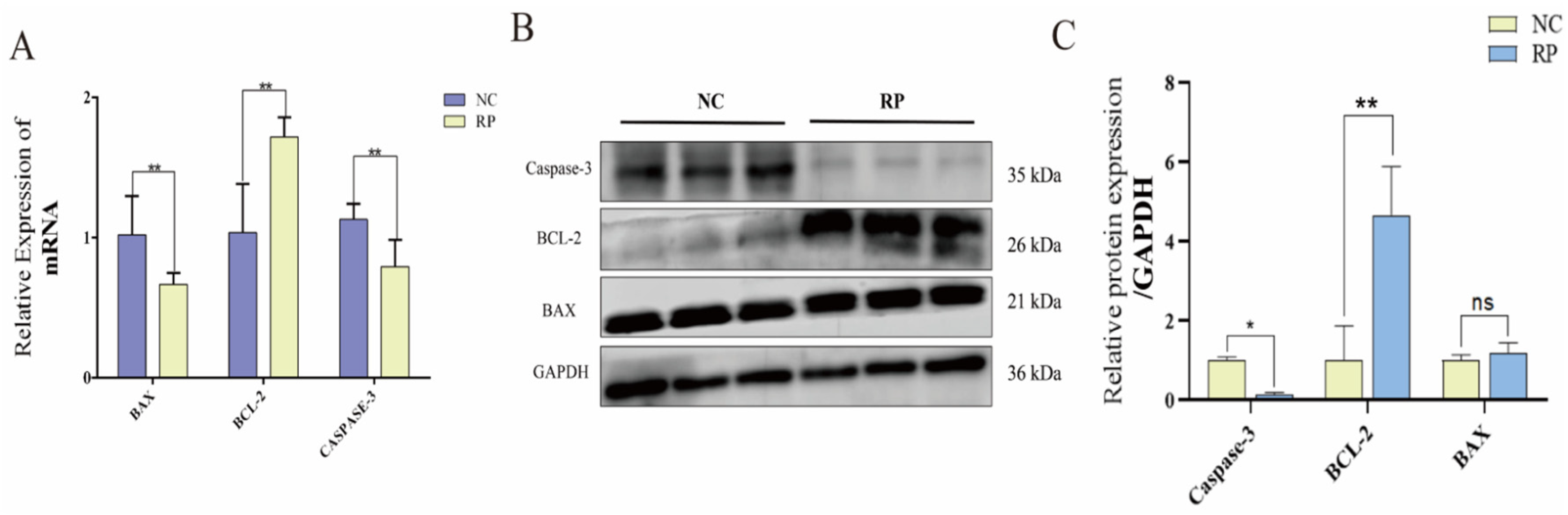Cells 15 00558 g004