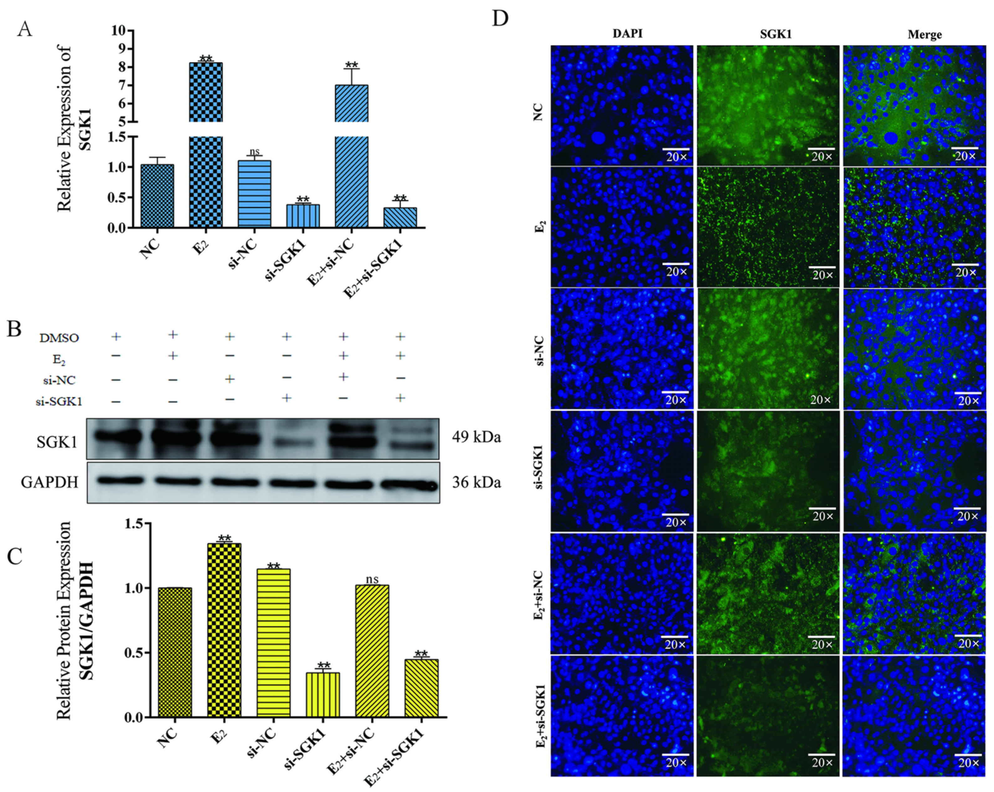 Cells 15 00558 g007